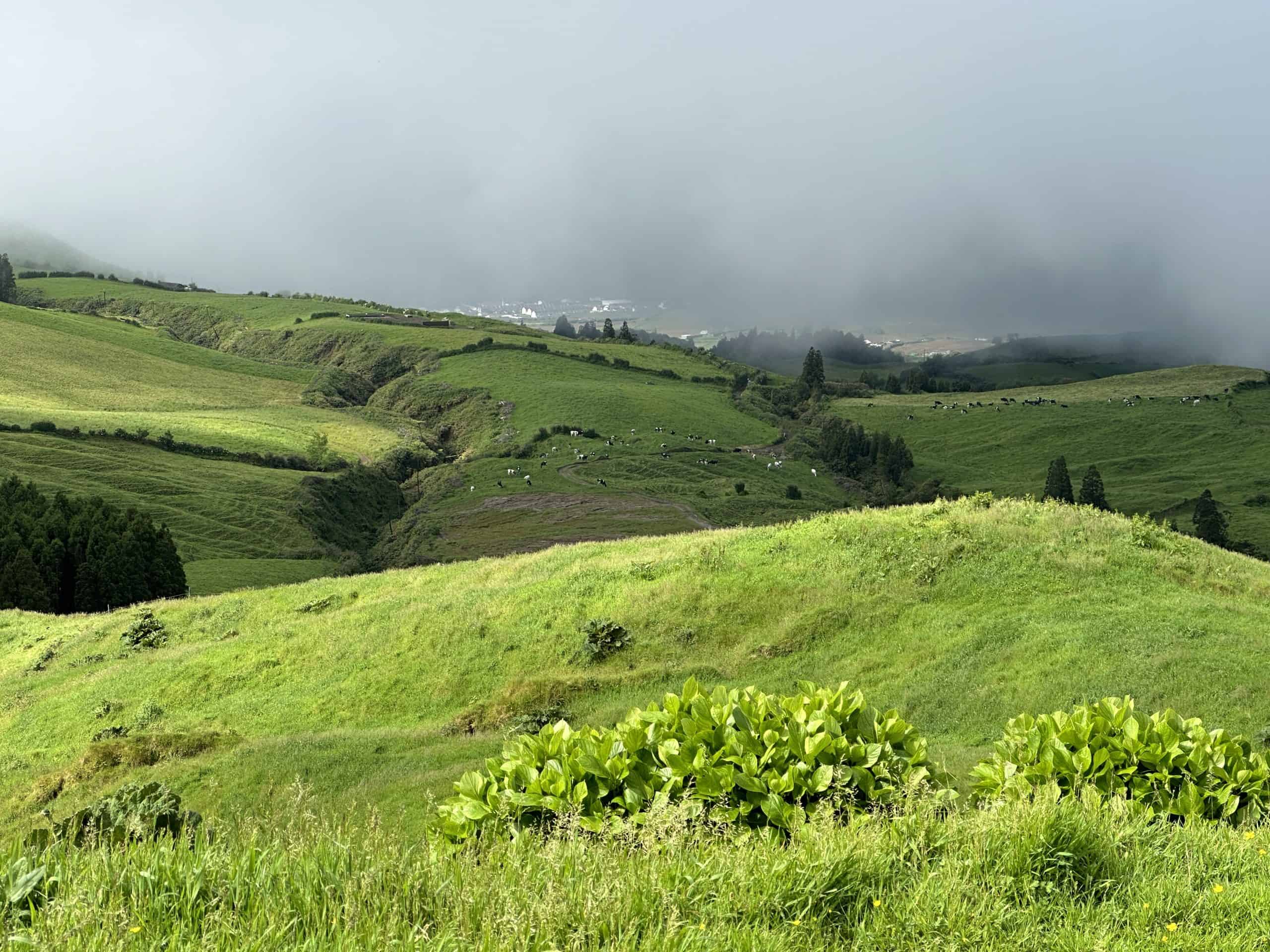 The countryside of Nordeste São Miguel