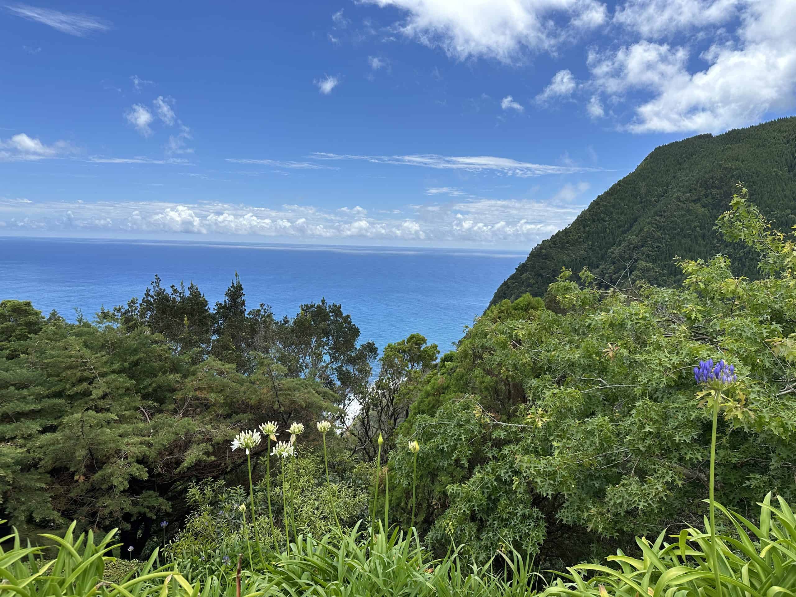 Nice views from the lookout
