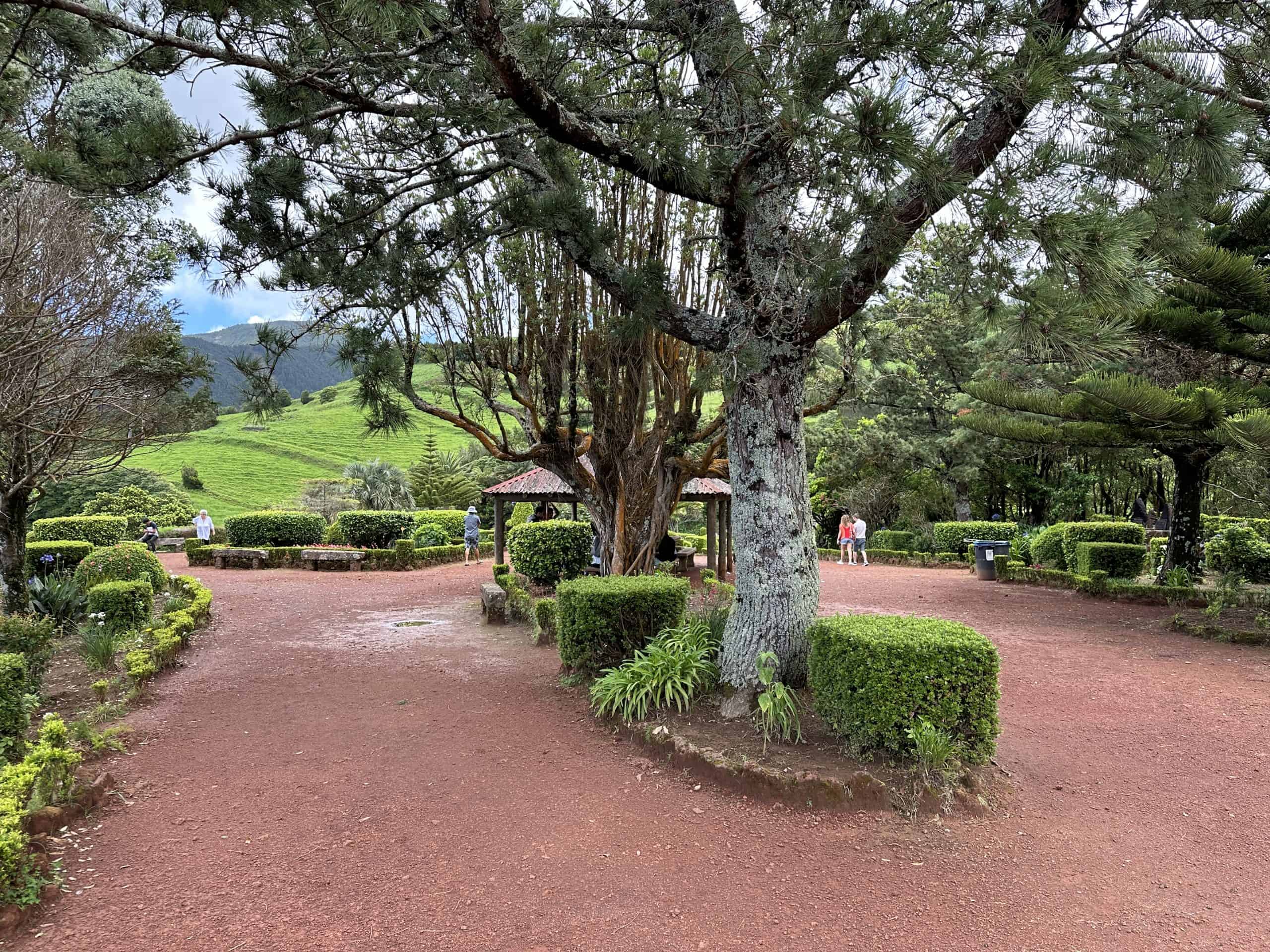 Pathways to the tiered gardens