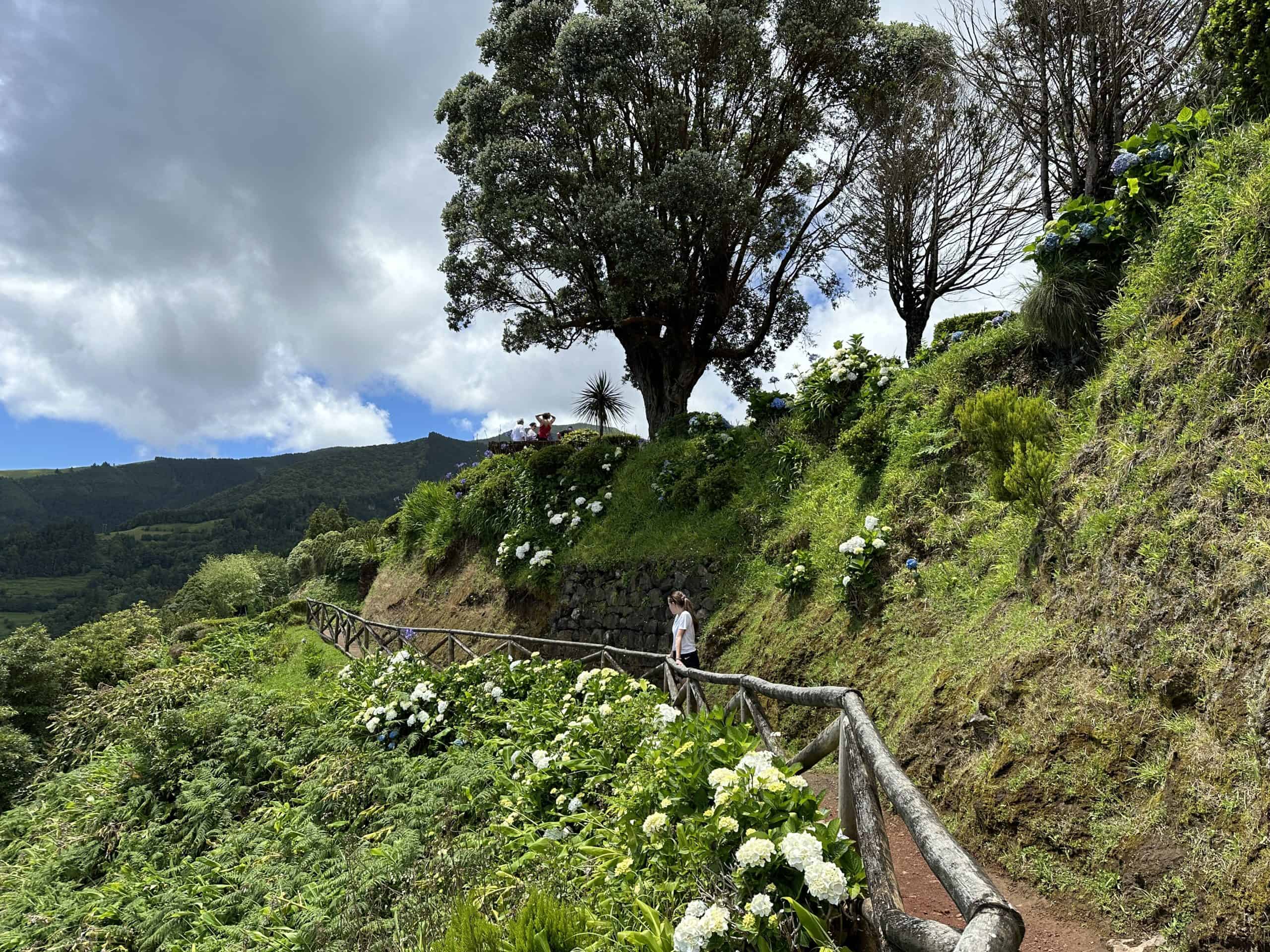 Path along the flowery cliffs