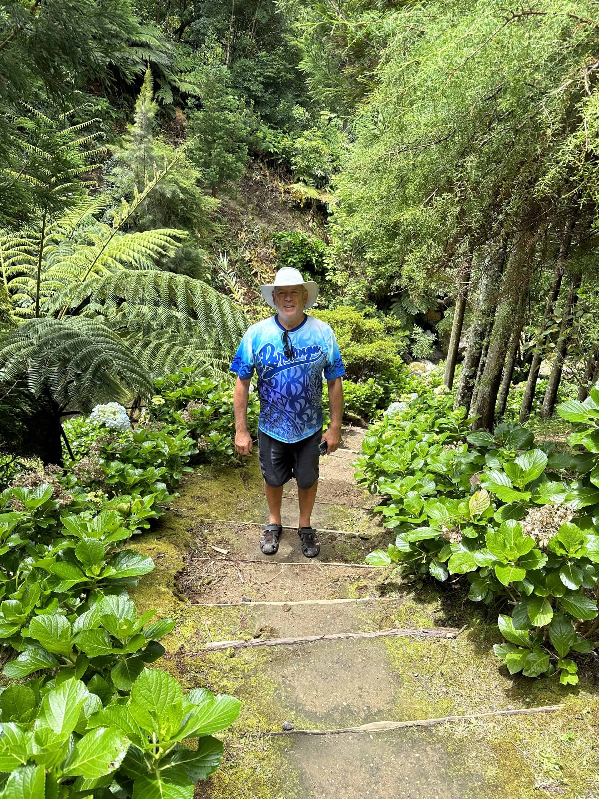 Pathway through the forest