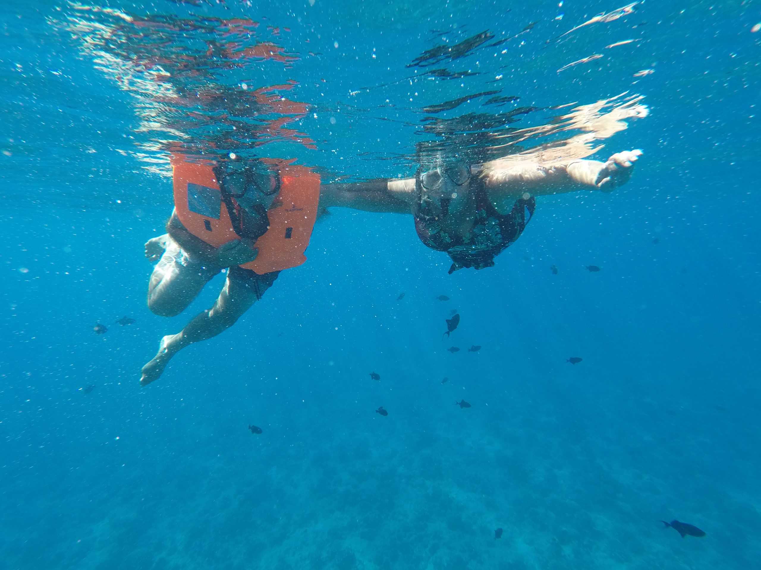 An underwater picture of us in the lagoon