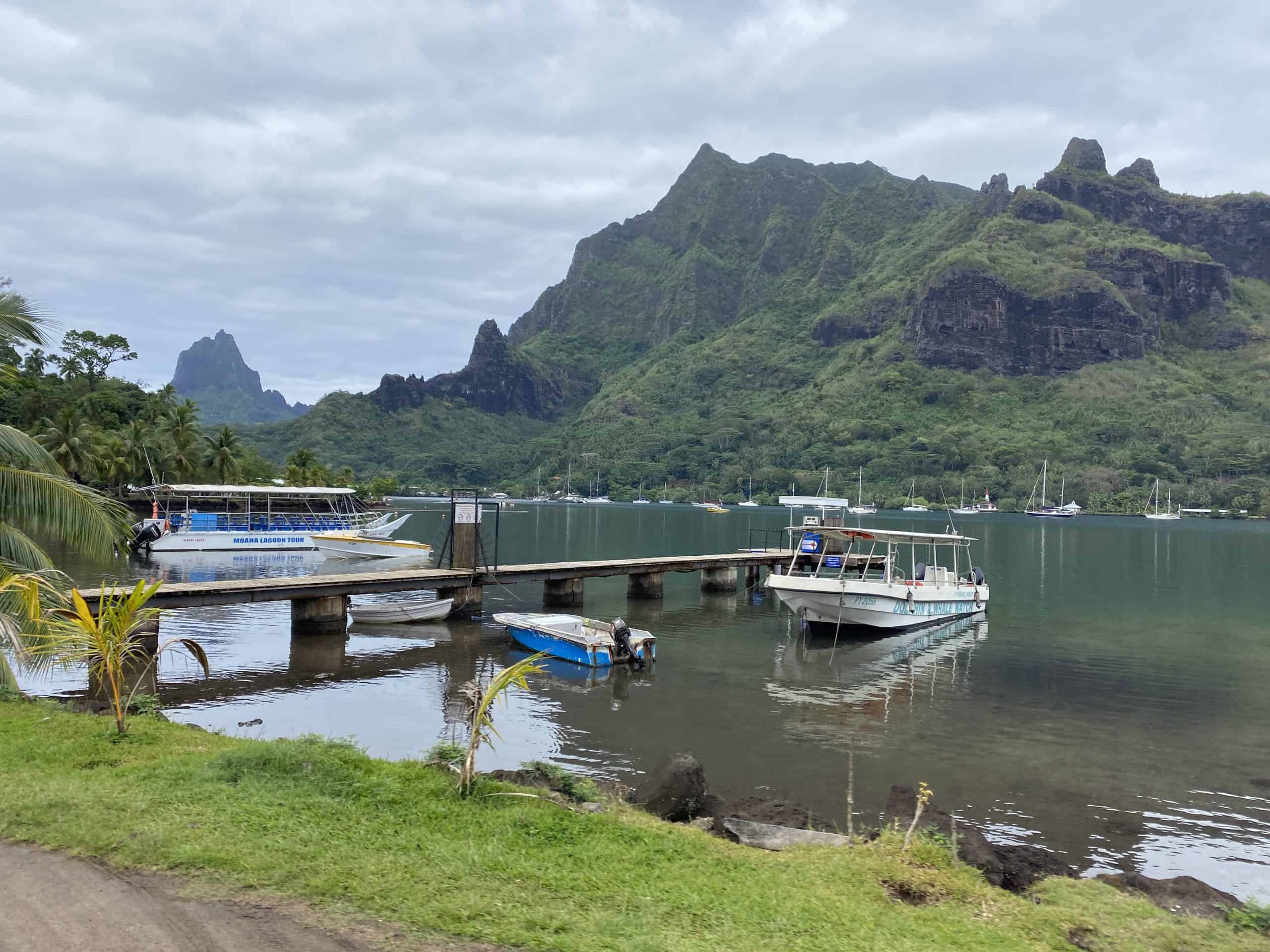 Boats in the bay