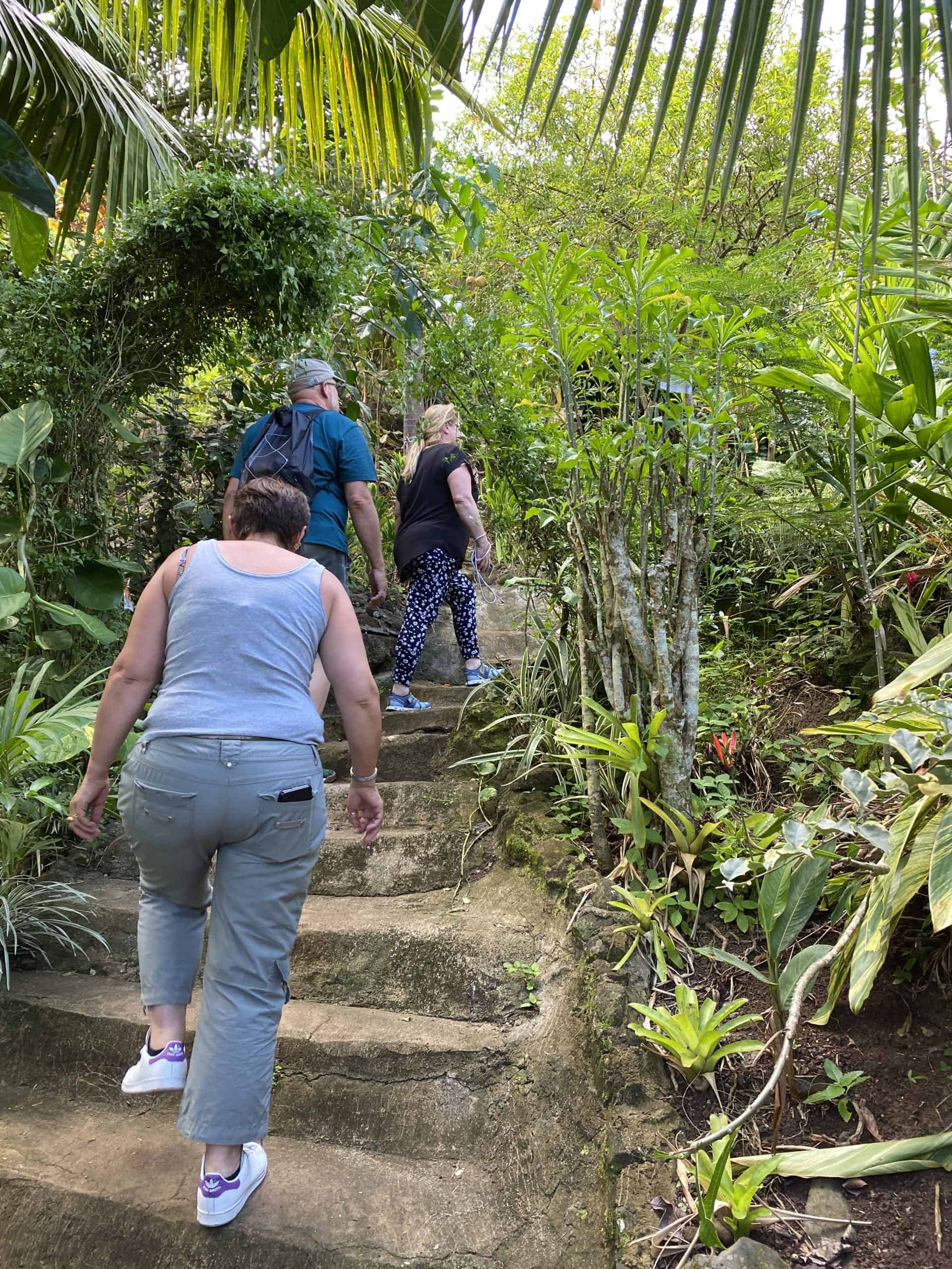 Walking up through the Tropical Garden
