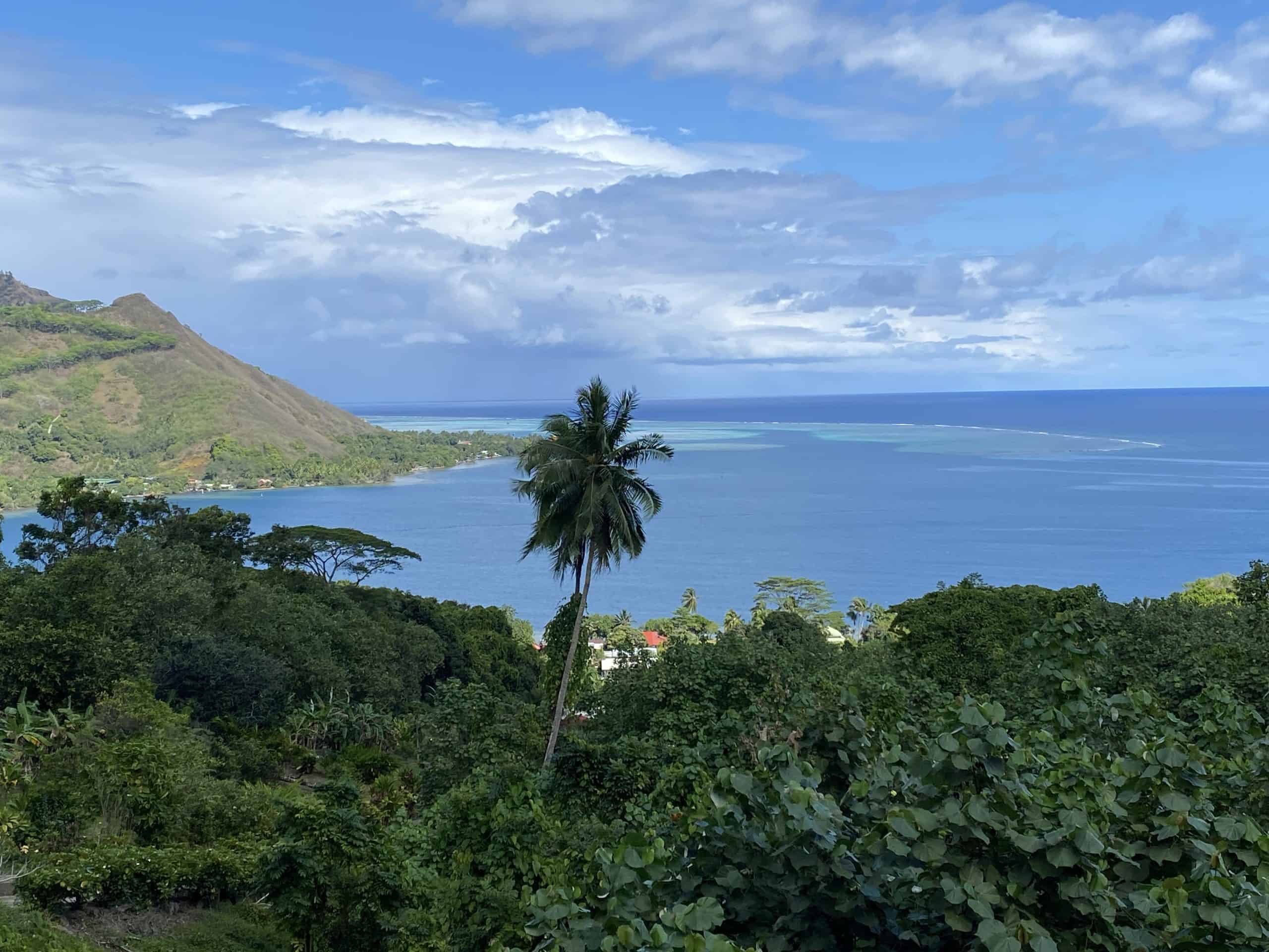 View from the Tropical Garden
