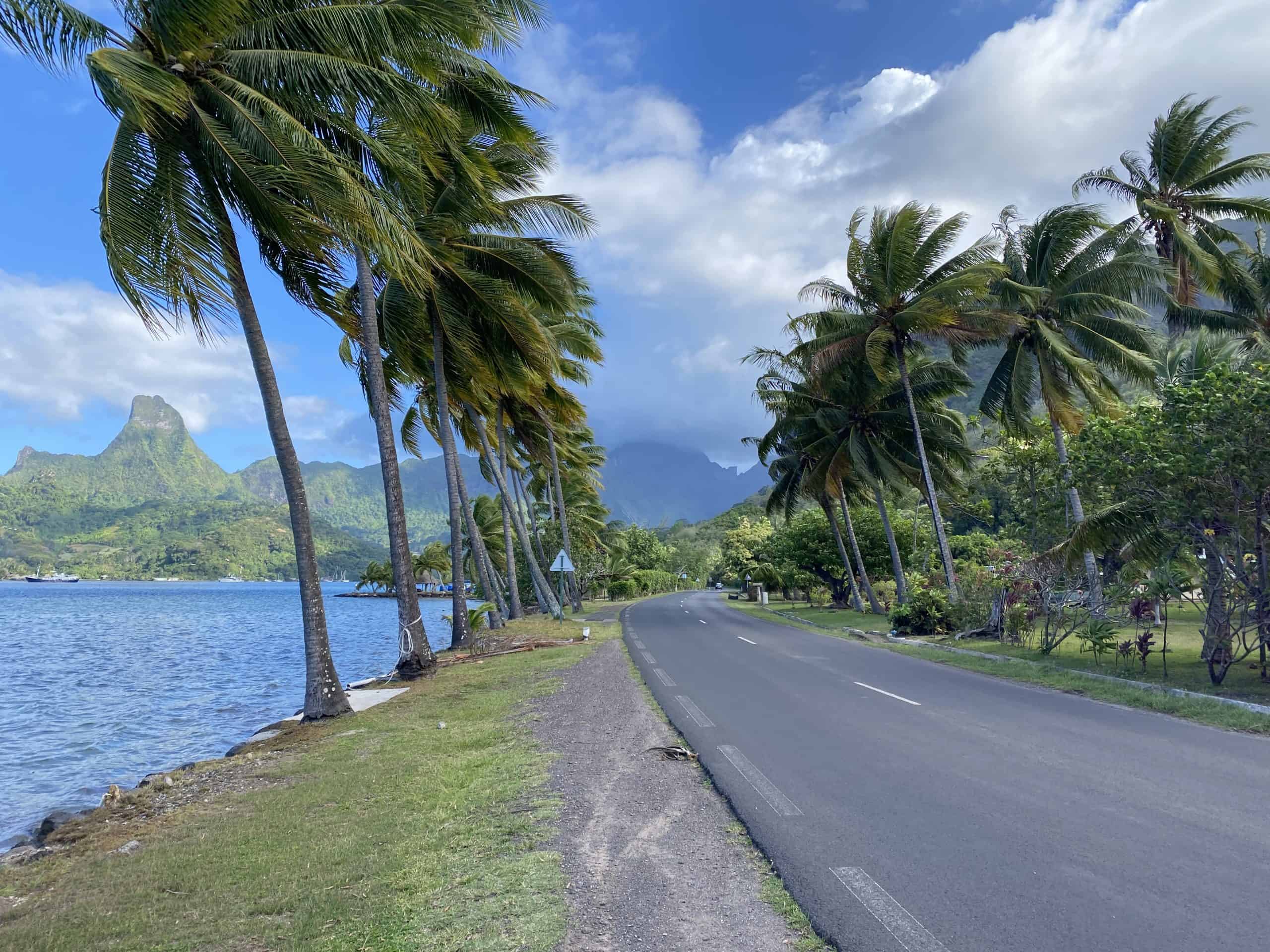 Scenery along the bay