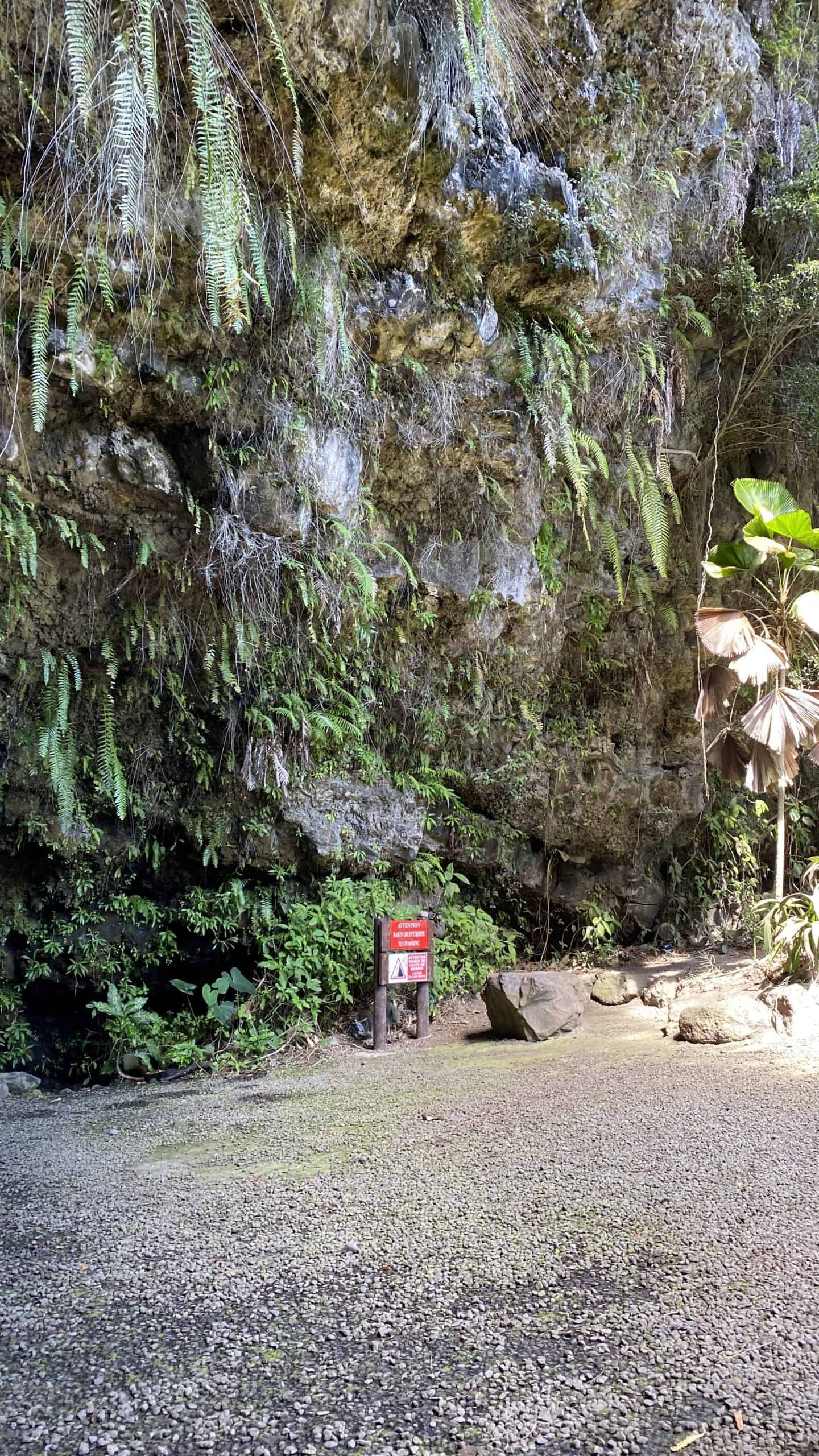 Mossy walls around the caves