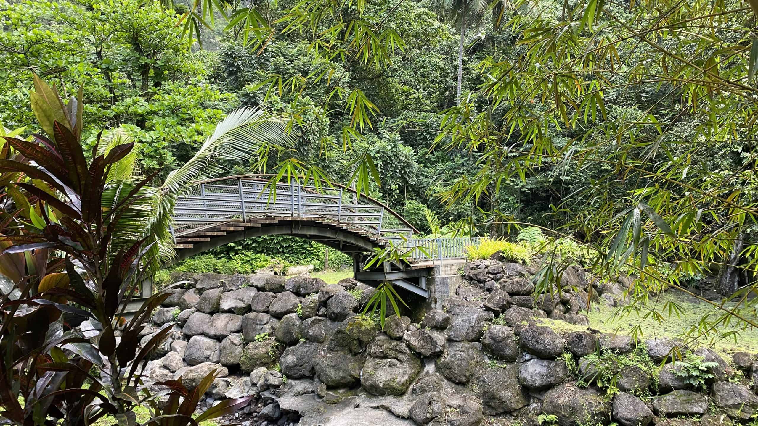Bridge to the falls