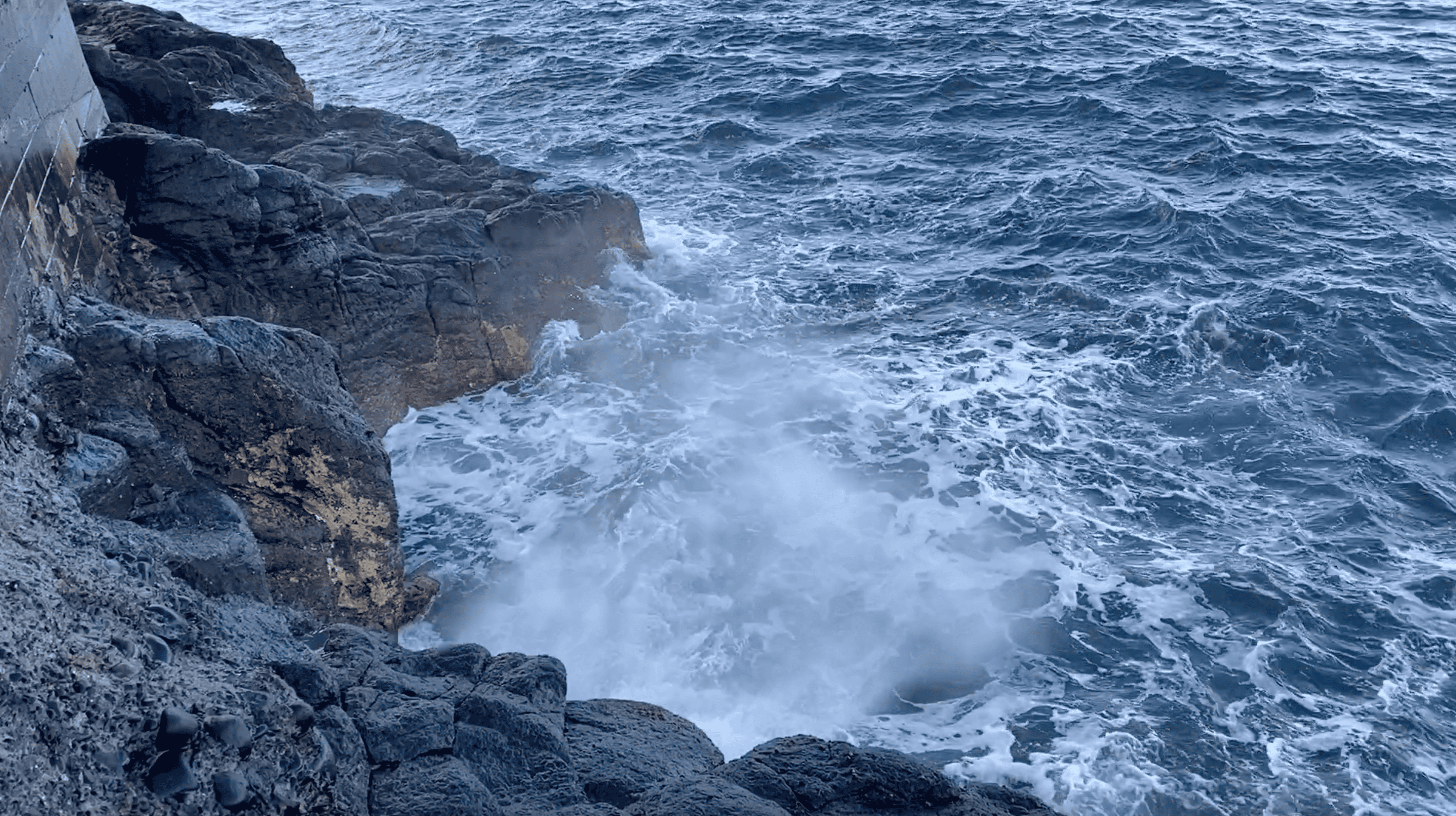 Steam from the blowhole