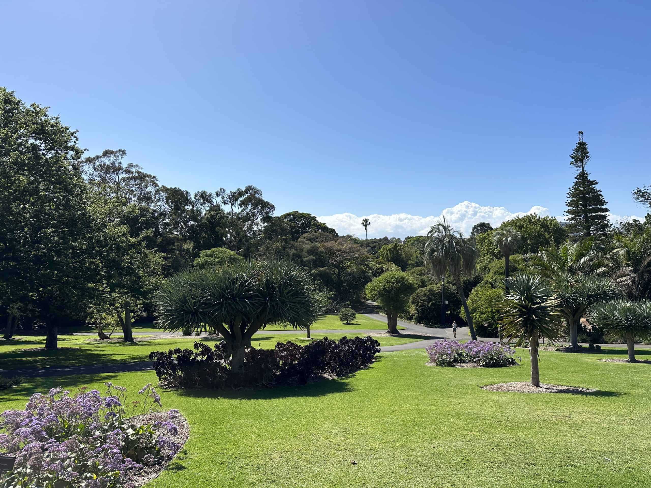 Landscapes of the Royal Botanic Garden
