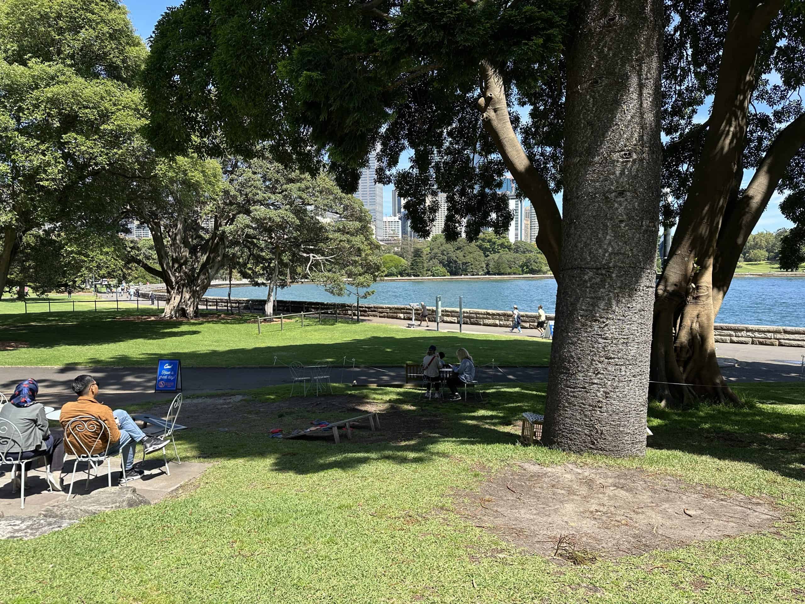 Bars for relaxing in the Royal Botanic Garden