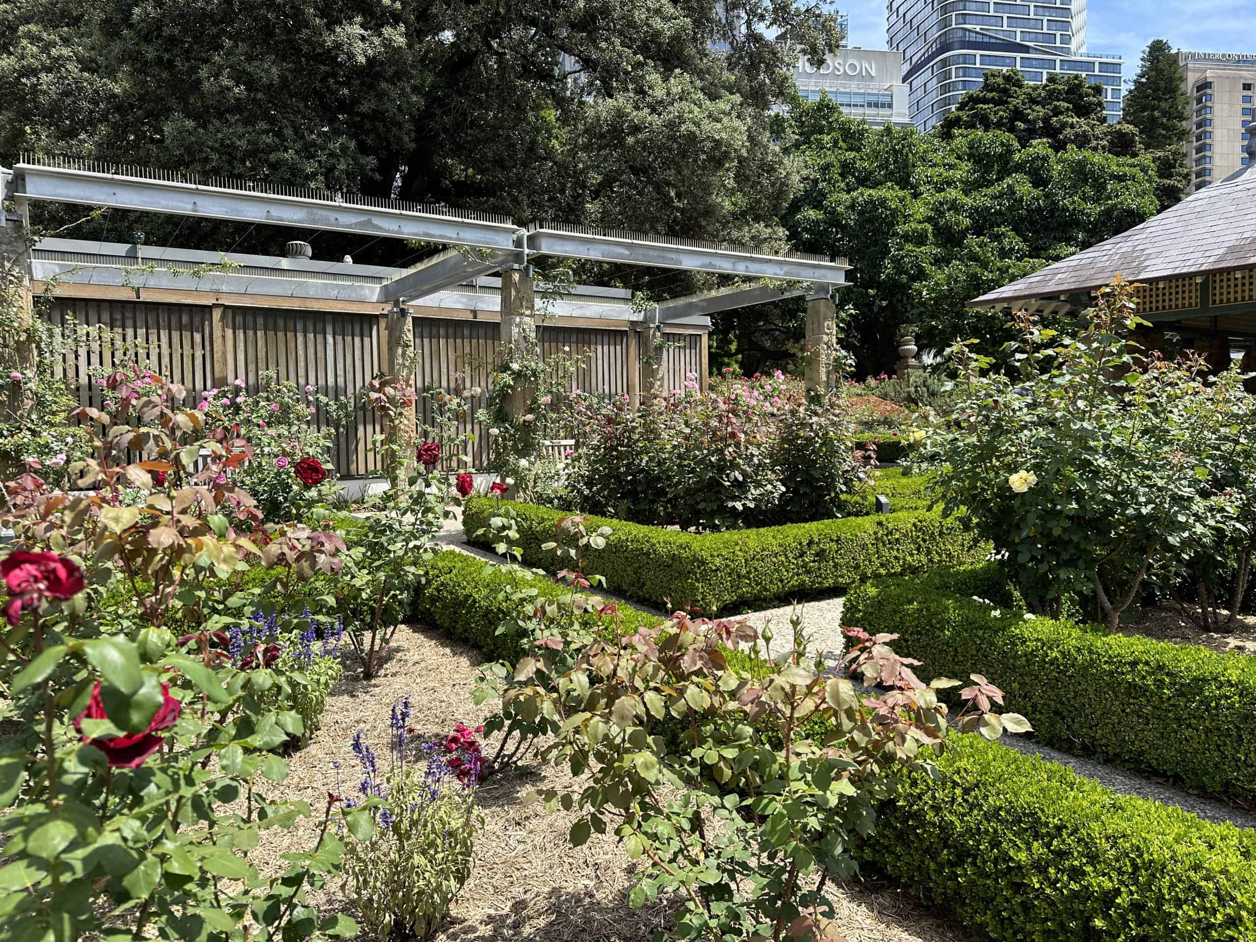 Rose garden