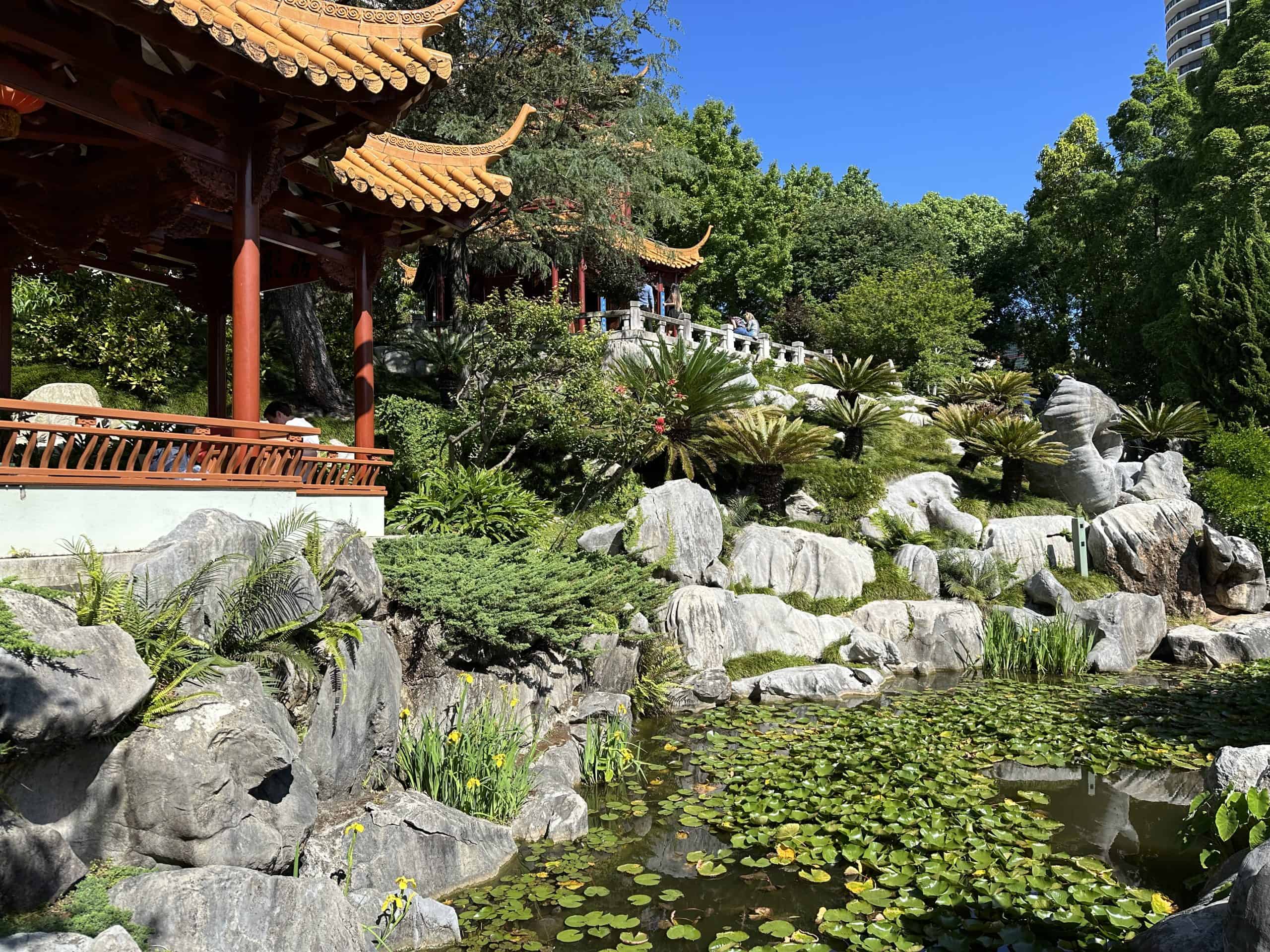 Pond in the Friendship garden