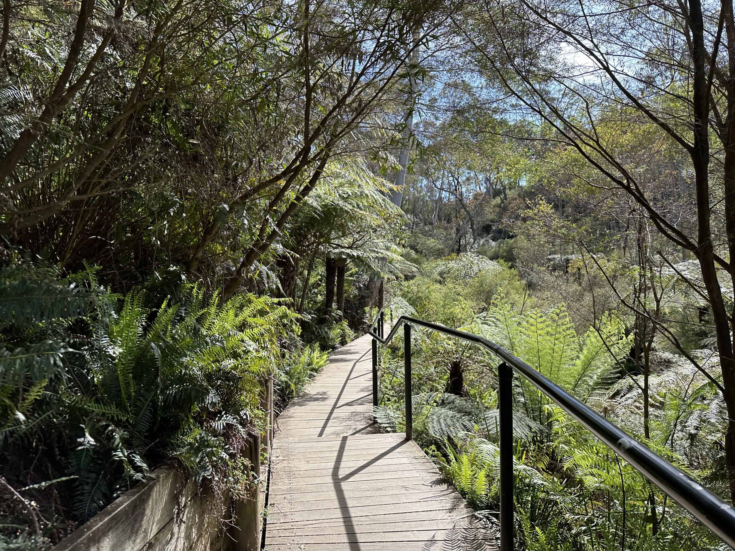 walking paths along the trails in the bush