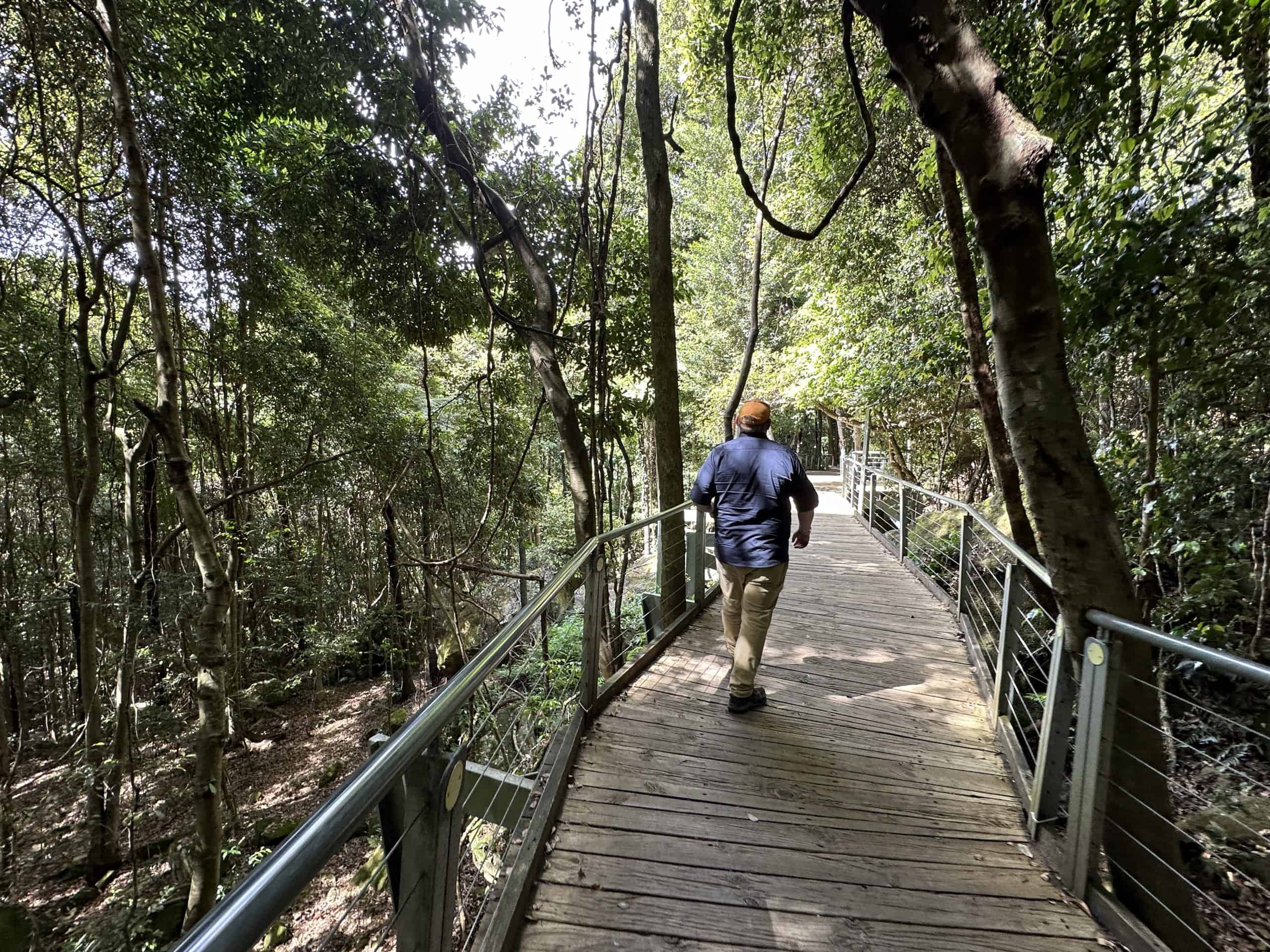Boardwalk of the Scenic Walkway