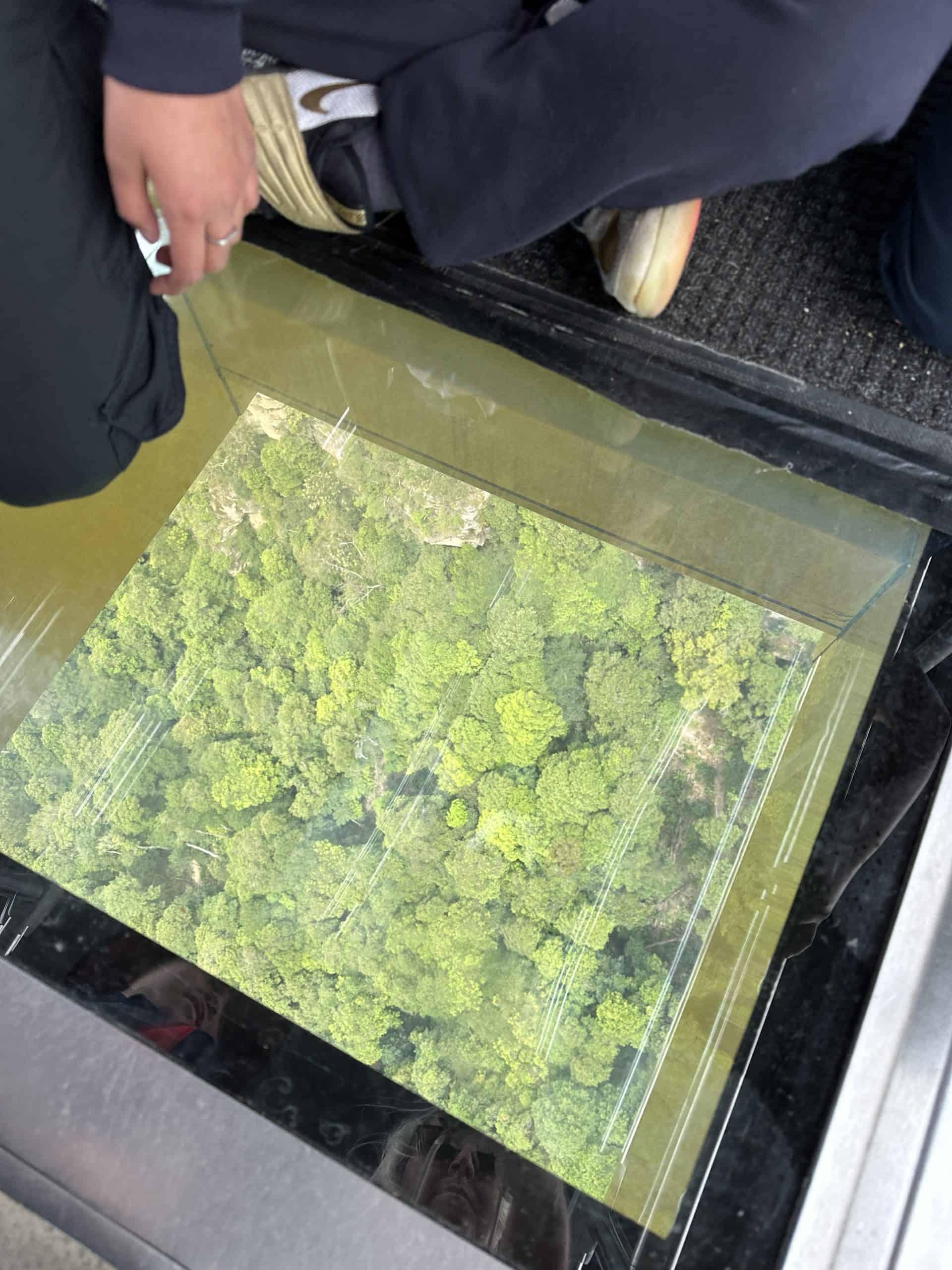Glass bottom window
