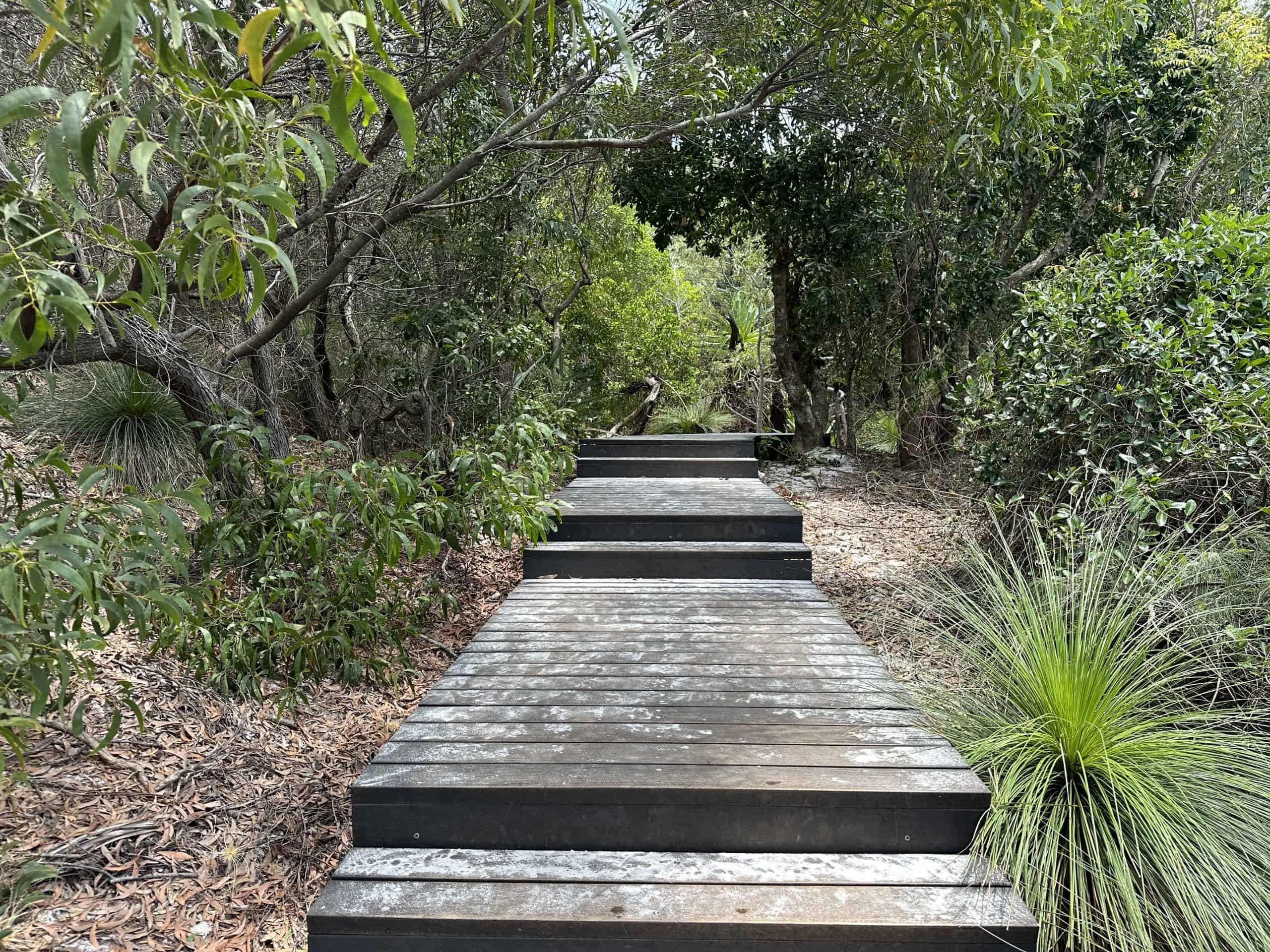 Boardwalk leading to the outlooks