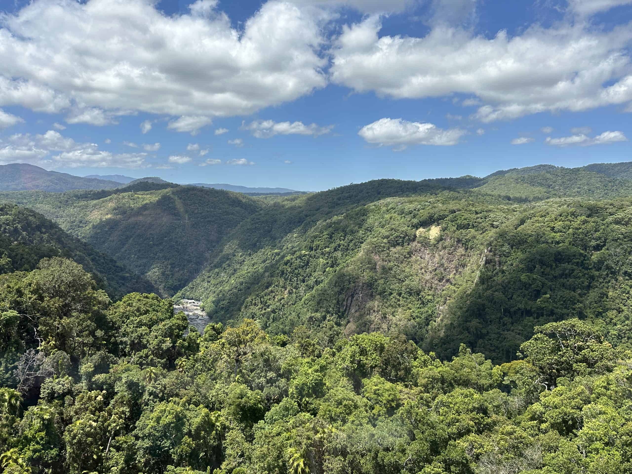 View over the rainforest
