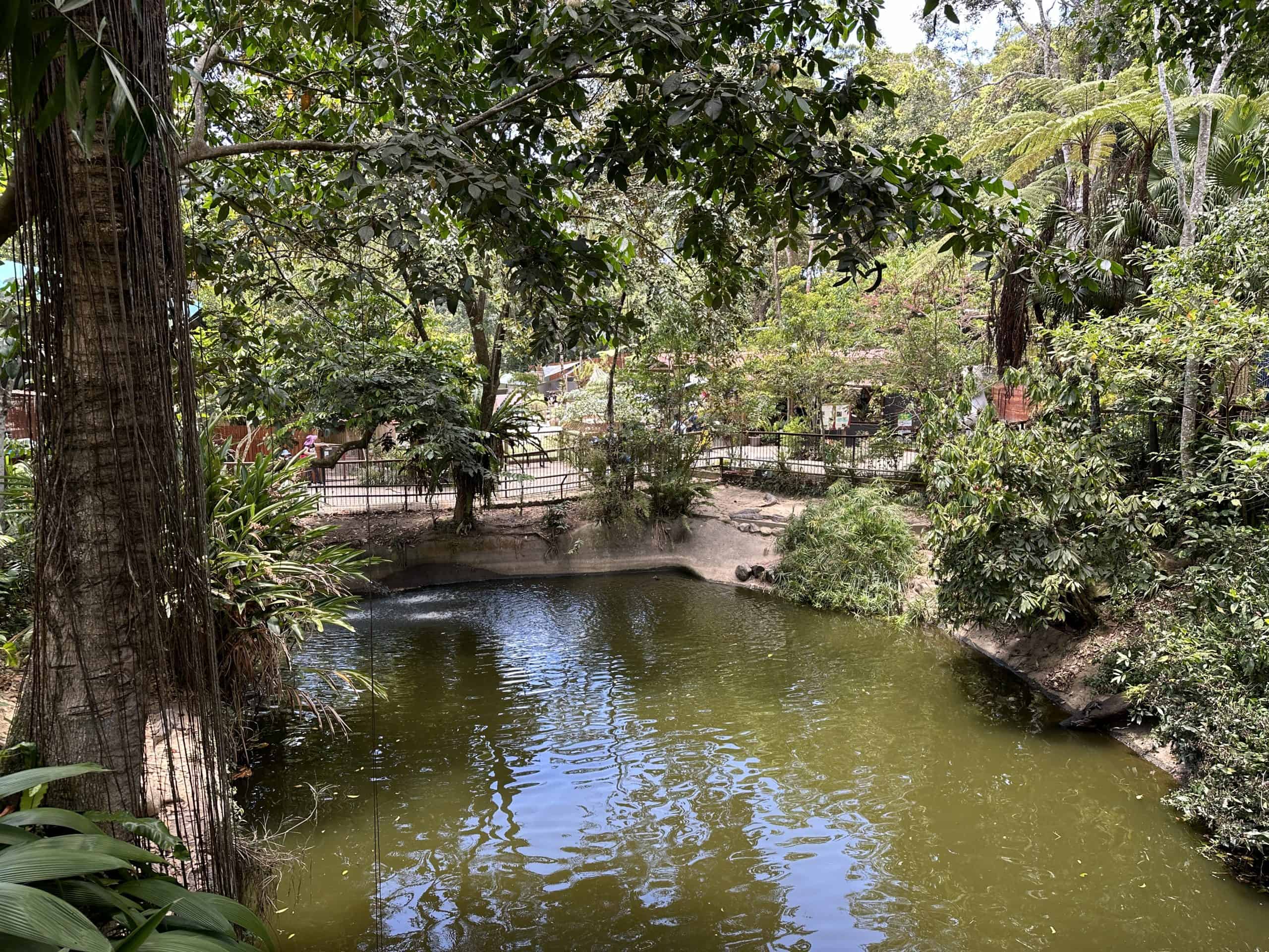 Koala Gardens landscaping