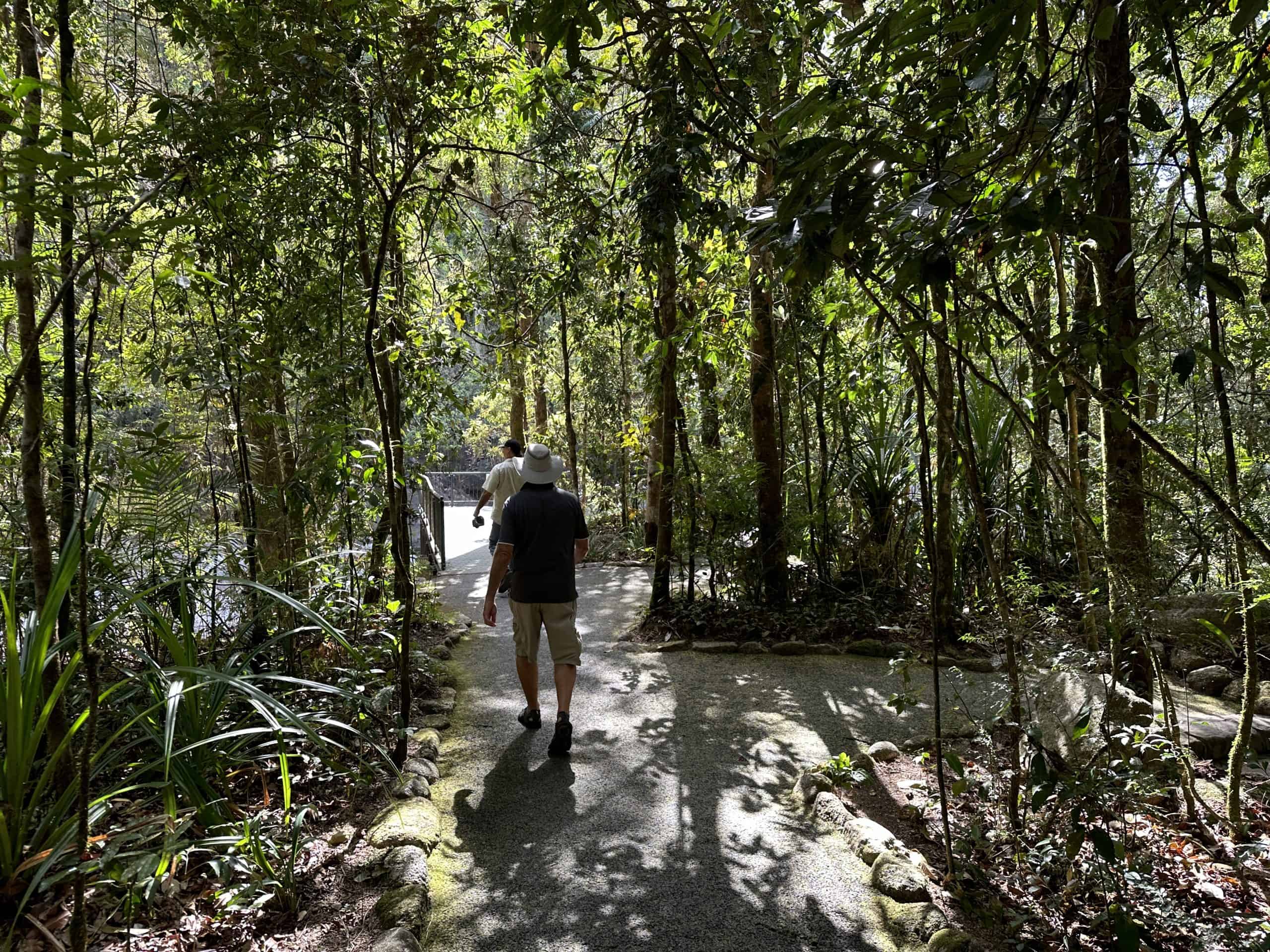 Pathways through the forest