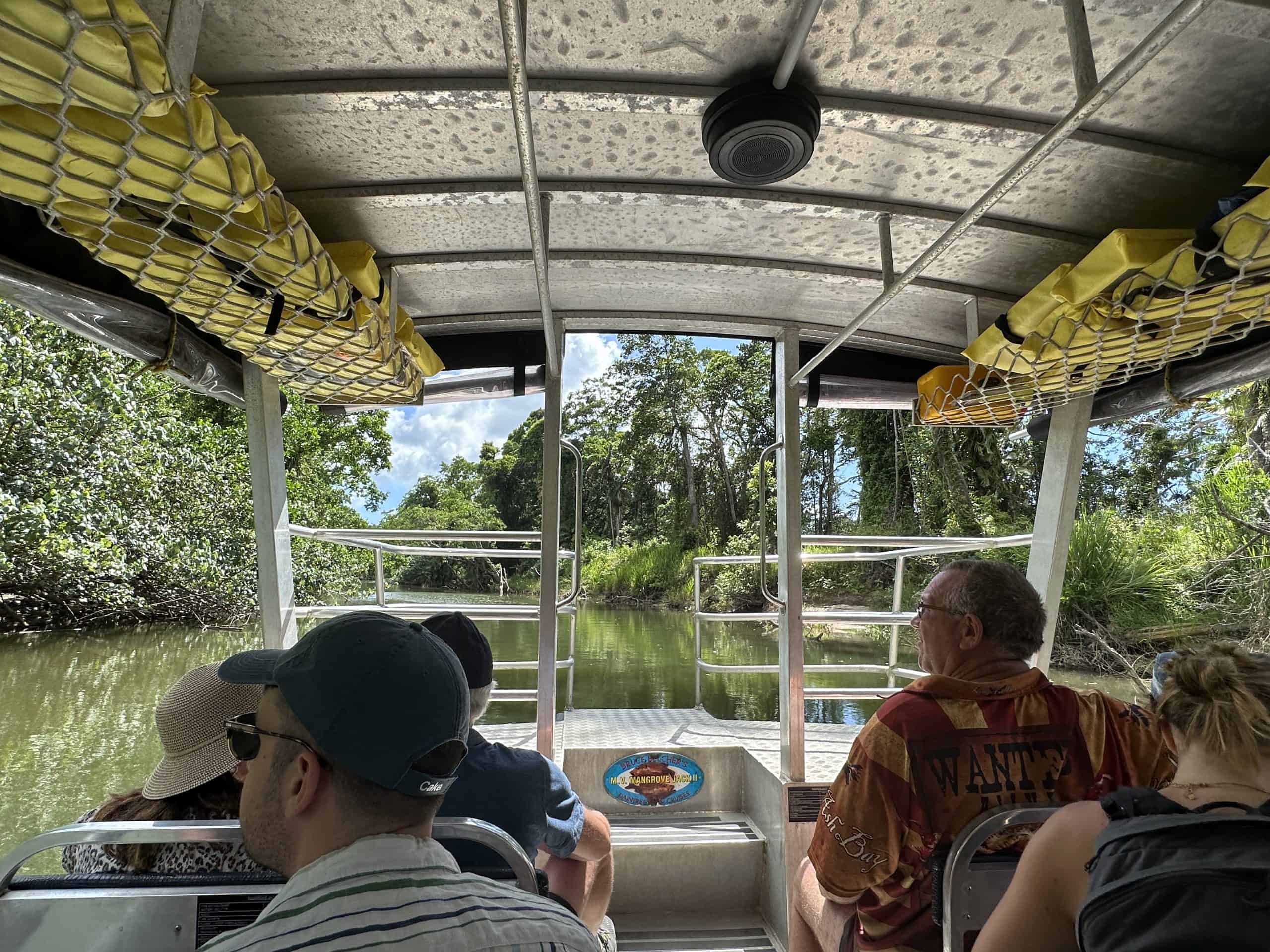 Exploring the river by boat