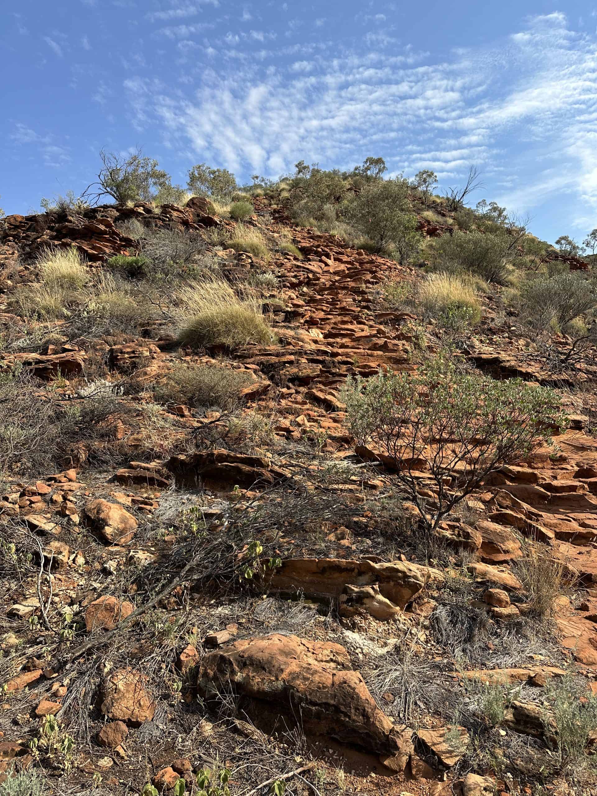 The first 200 steps