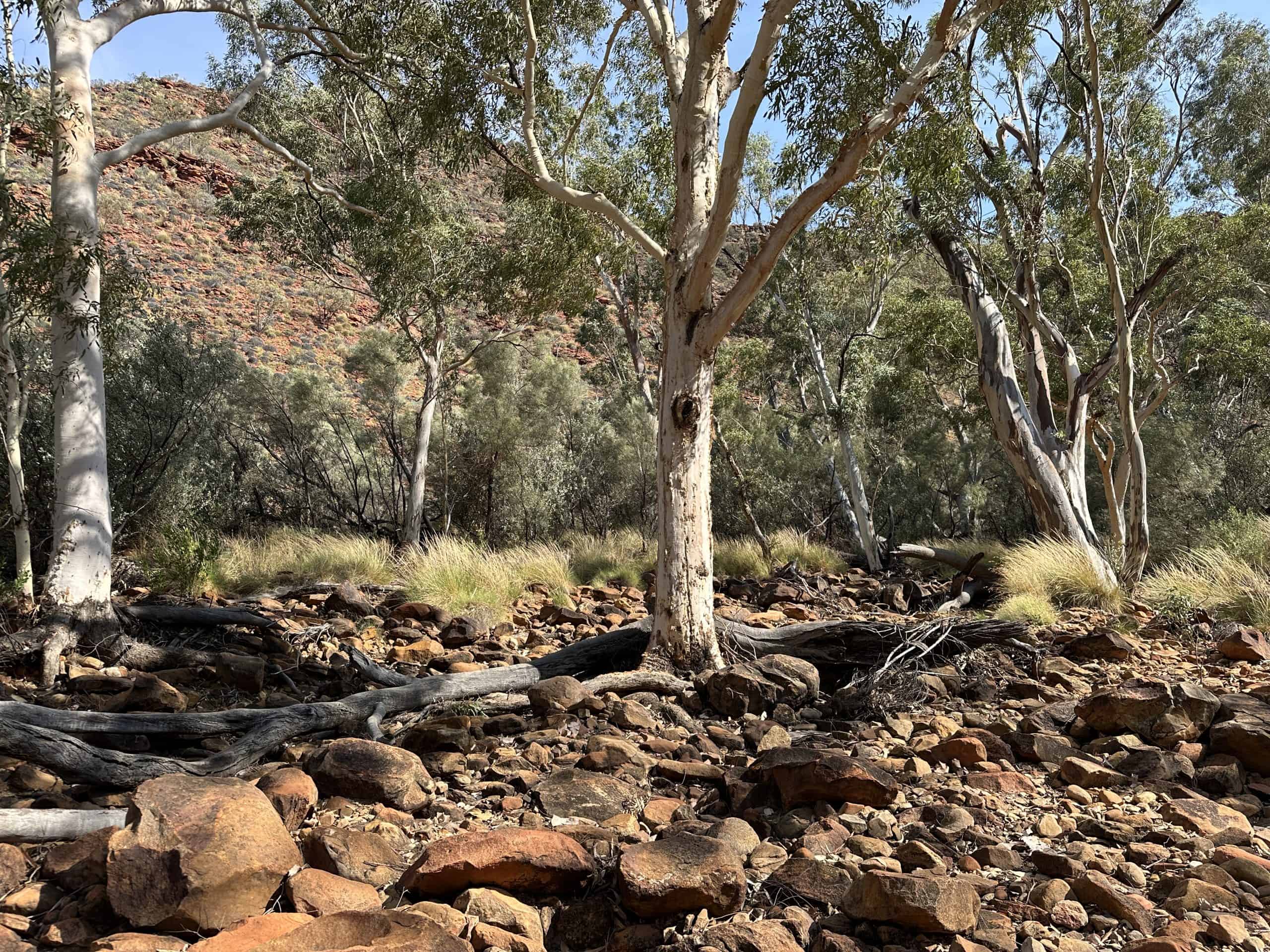 The creek bed