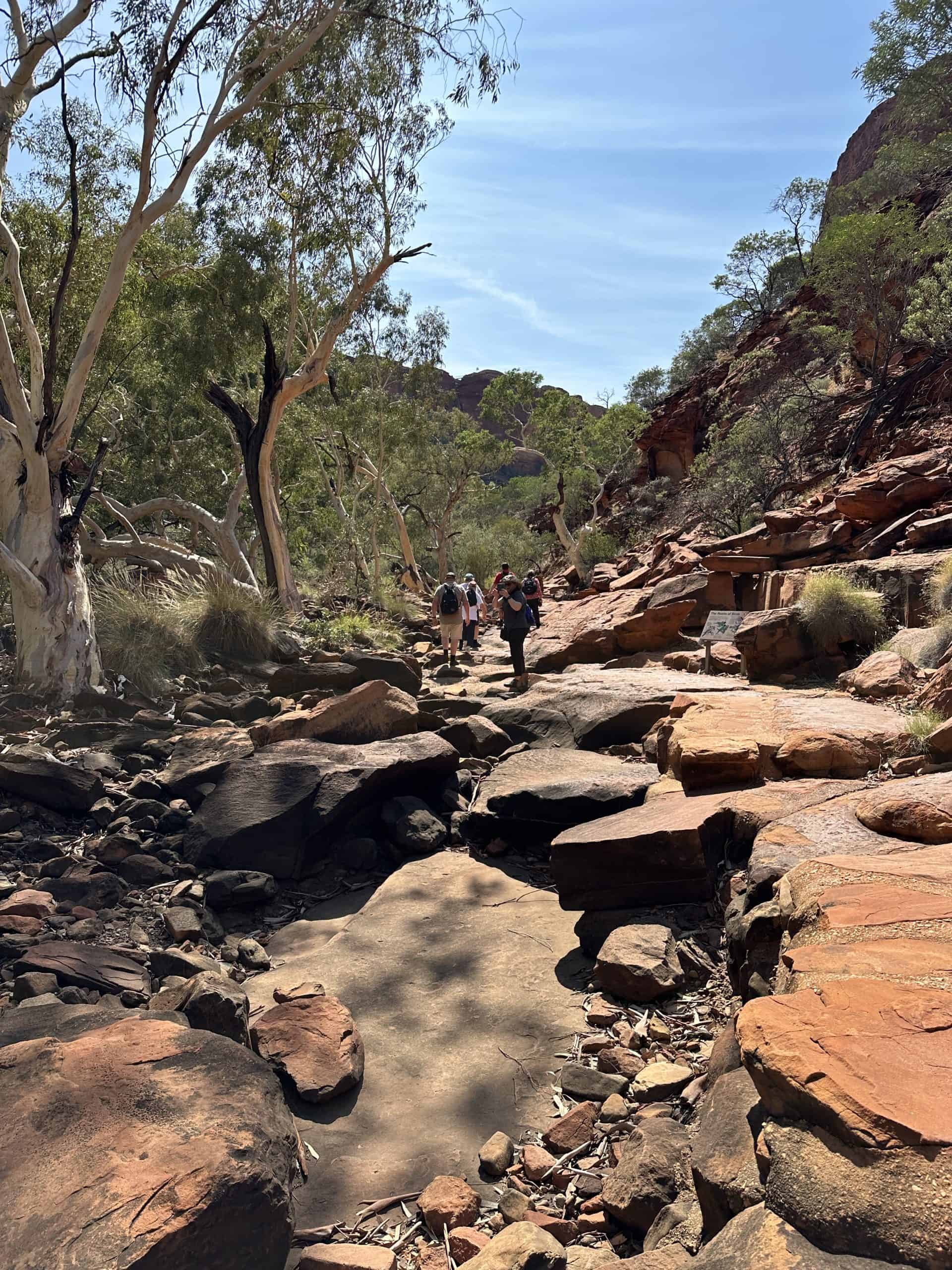The terrain along the Creek Bed walk