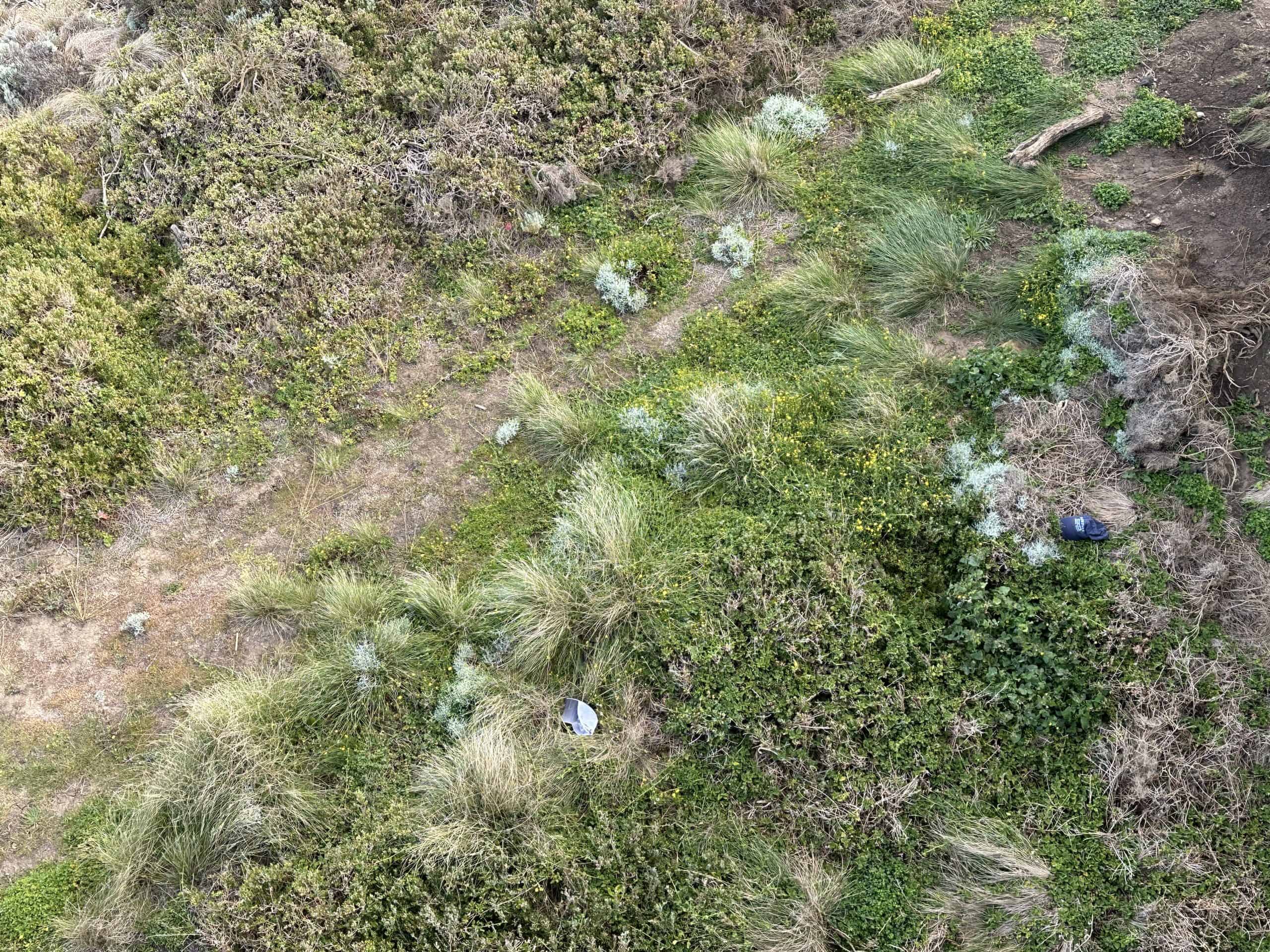 Hats on the ground under the lookout
