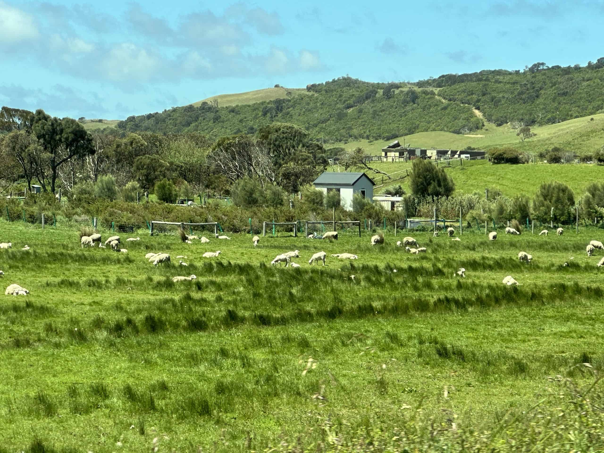Rural farming areas