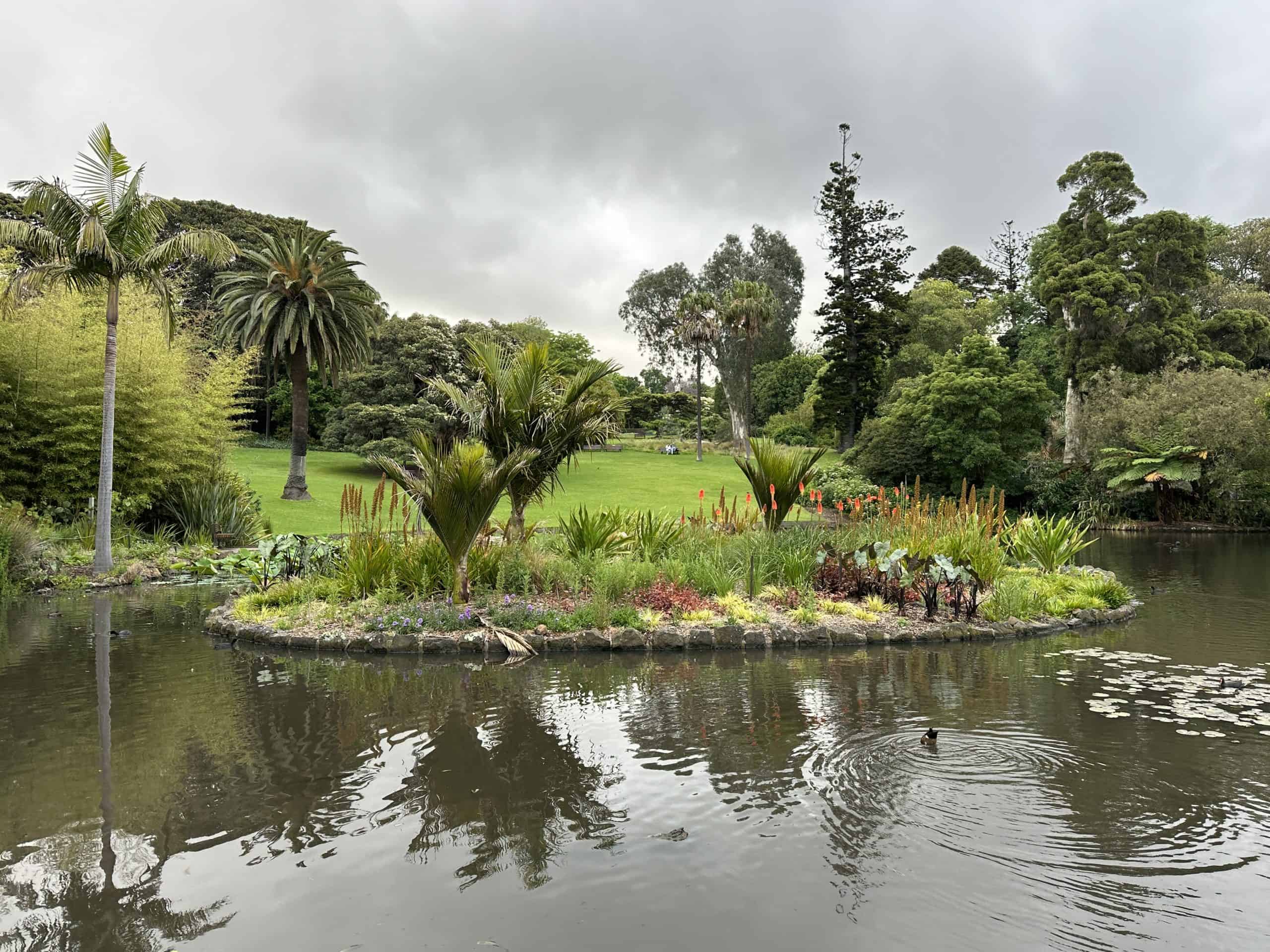 Pond in the garden