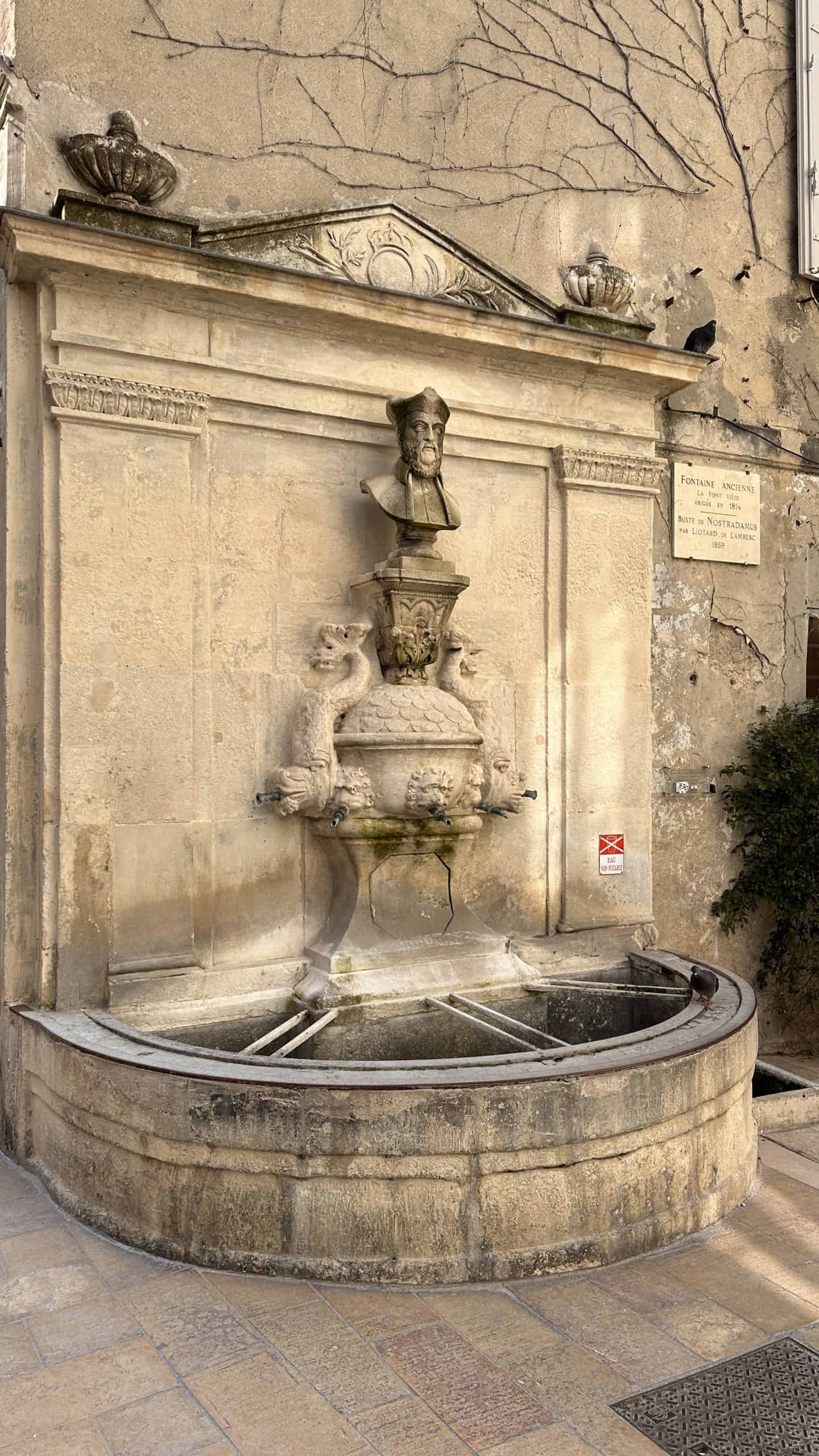 Nostradamus fountain