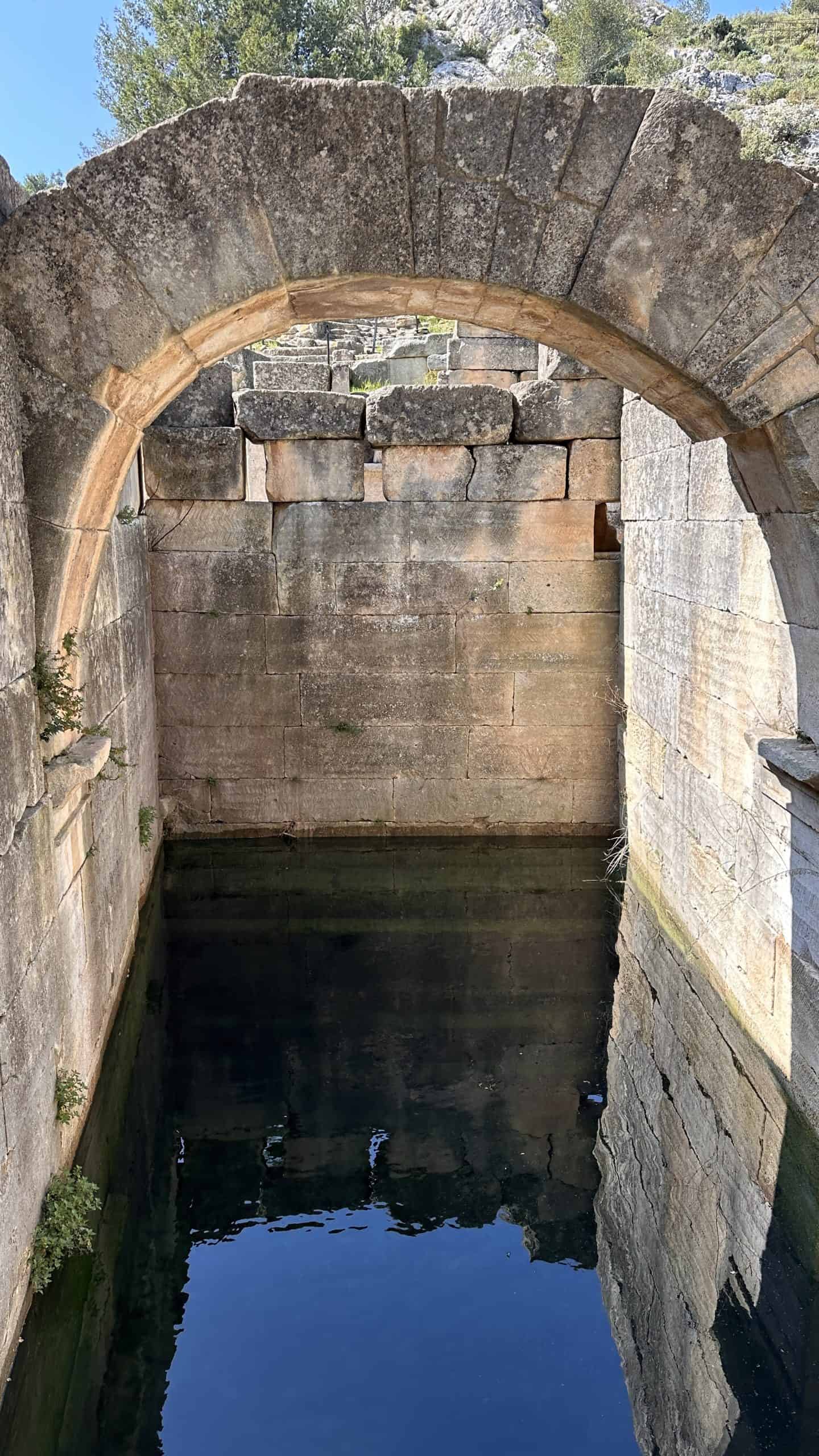 The Spring