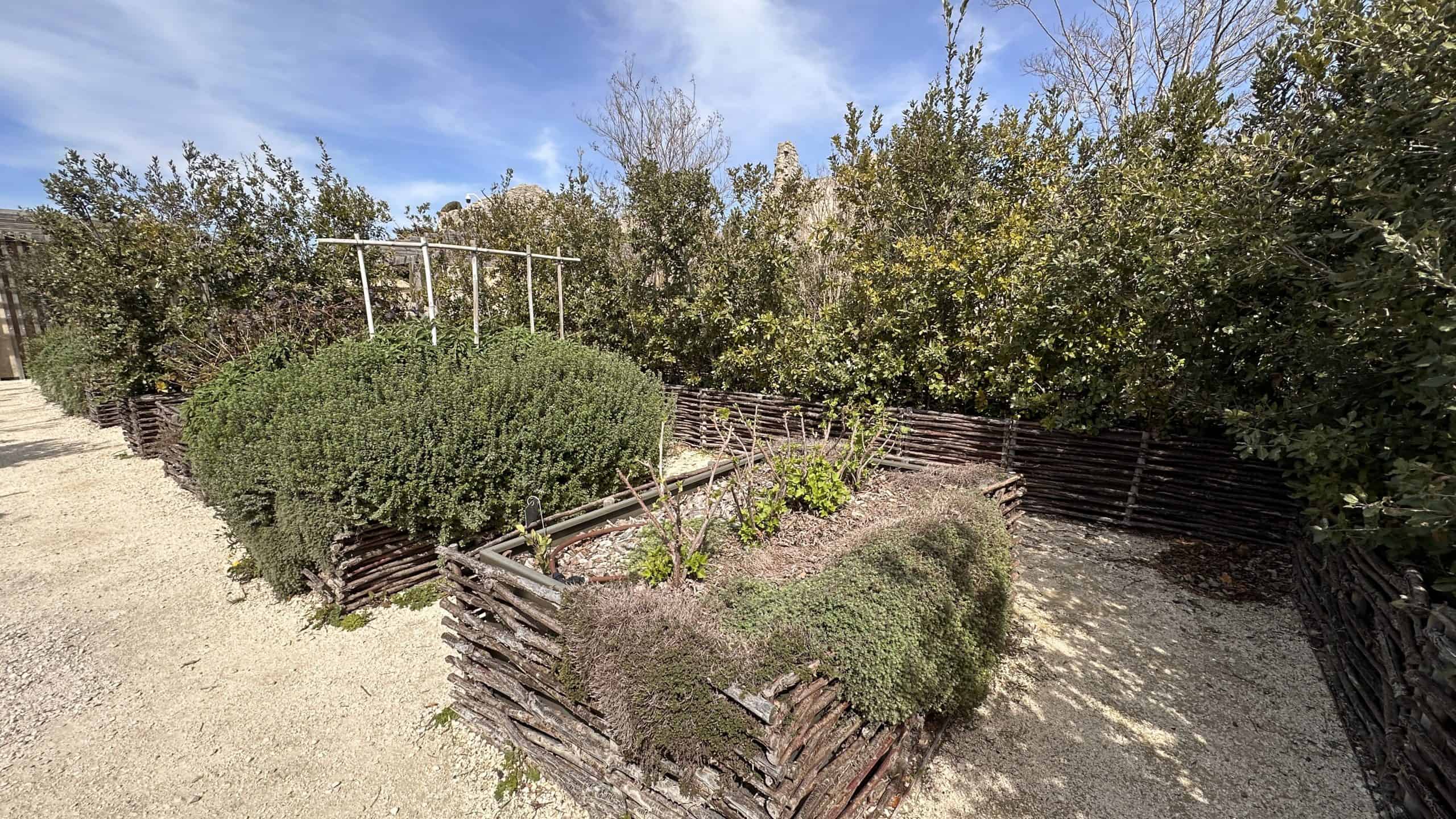 Herb garden