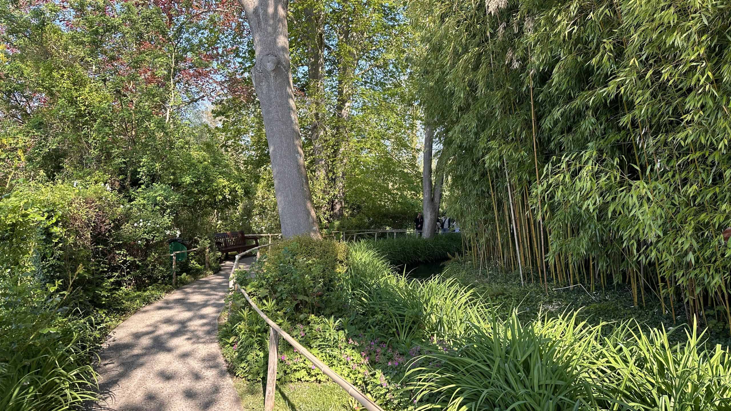 Pathway to the Water Garden