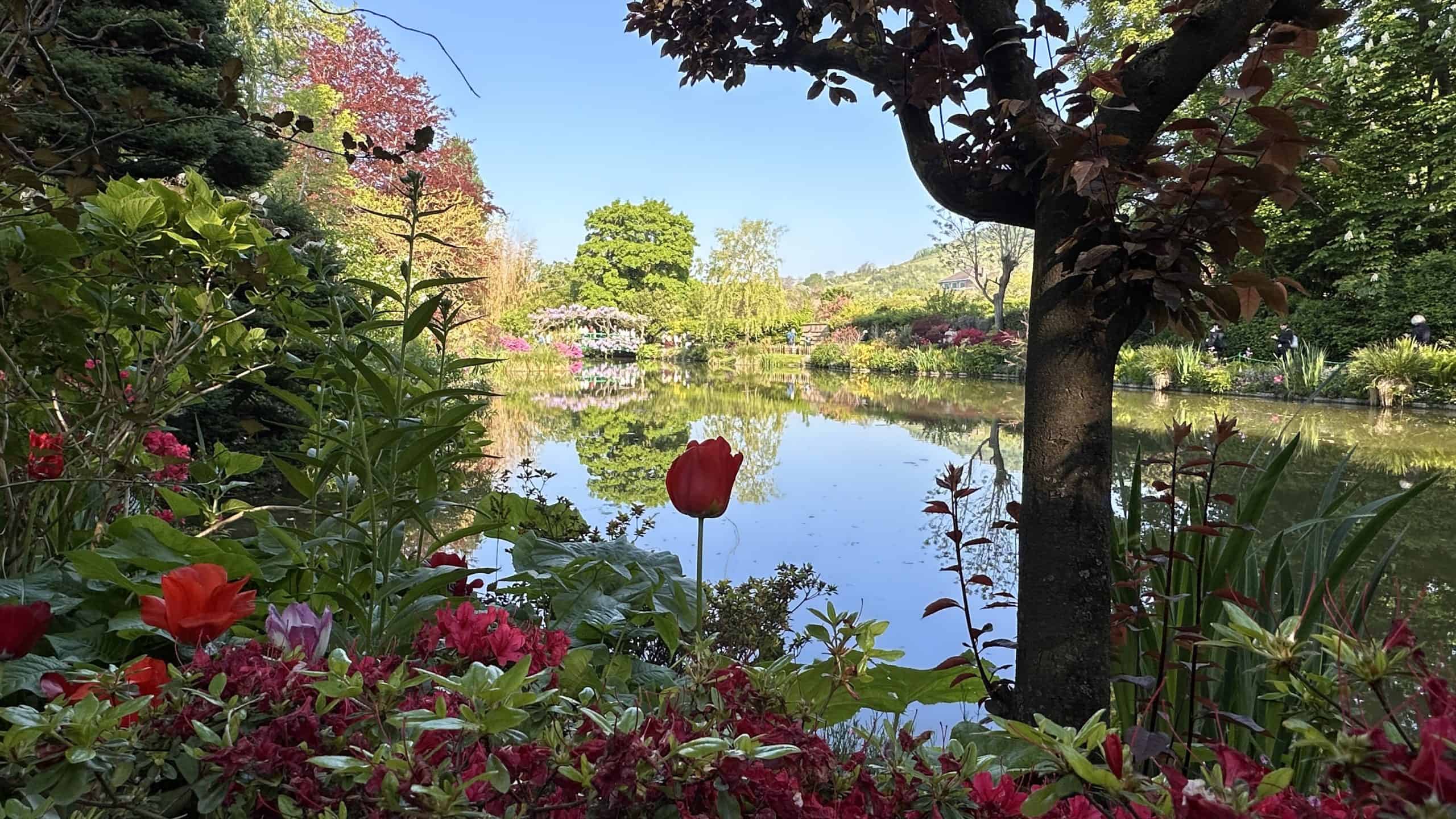 The Water Garden