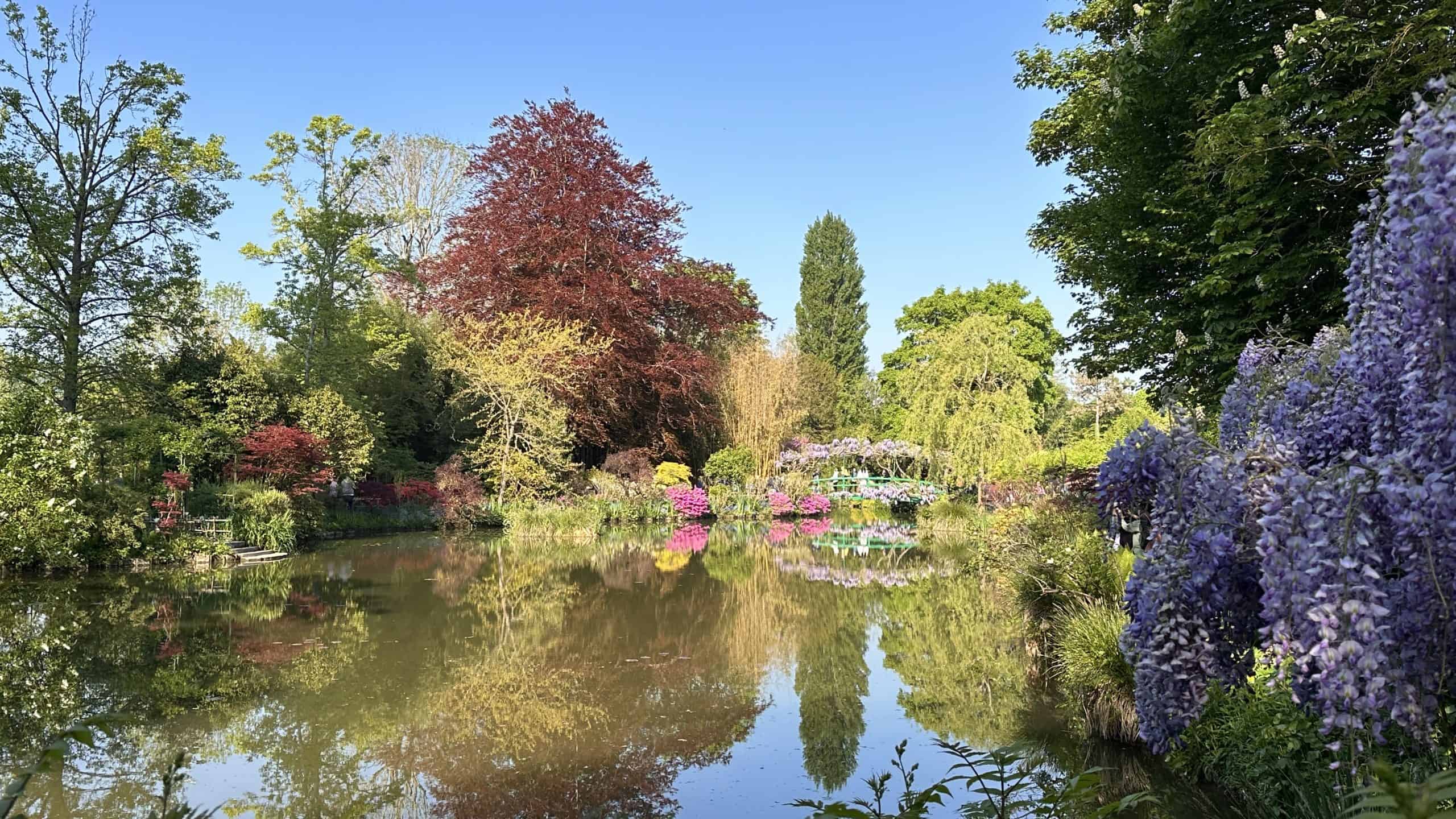 Everything in bloom around the water garden