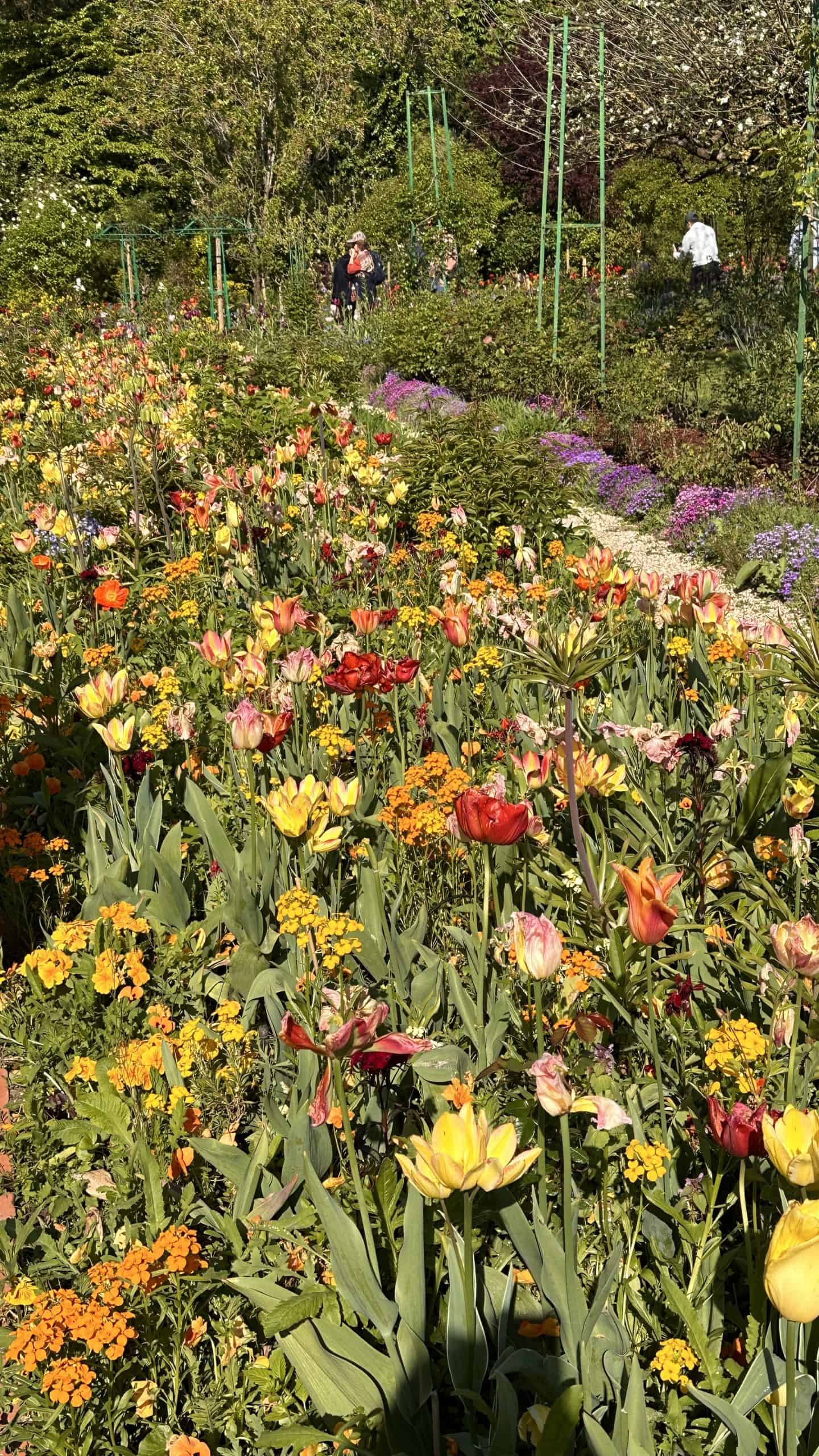 Beautiful blooms
