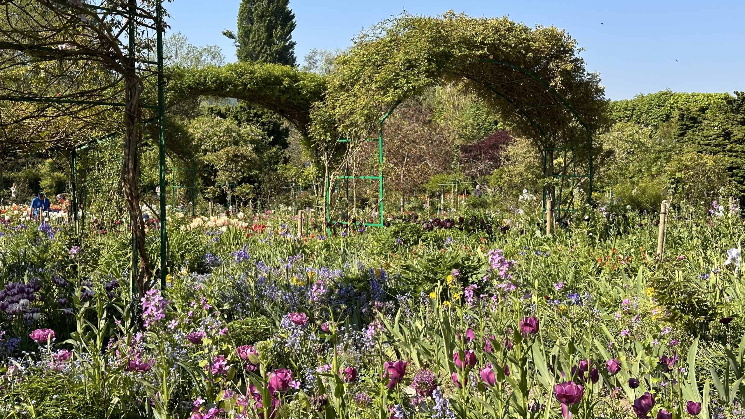 Colourful gardens