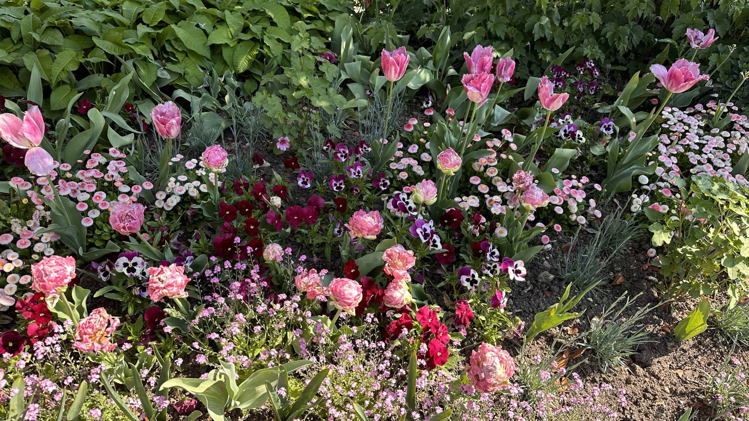 The Creative Garden
