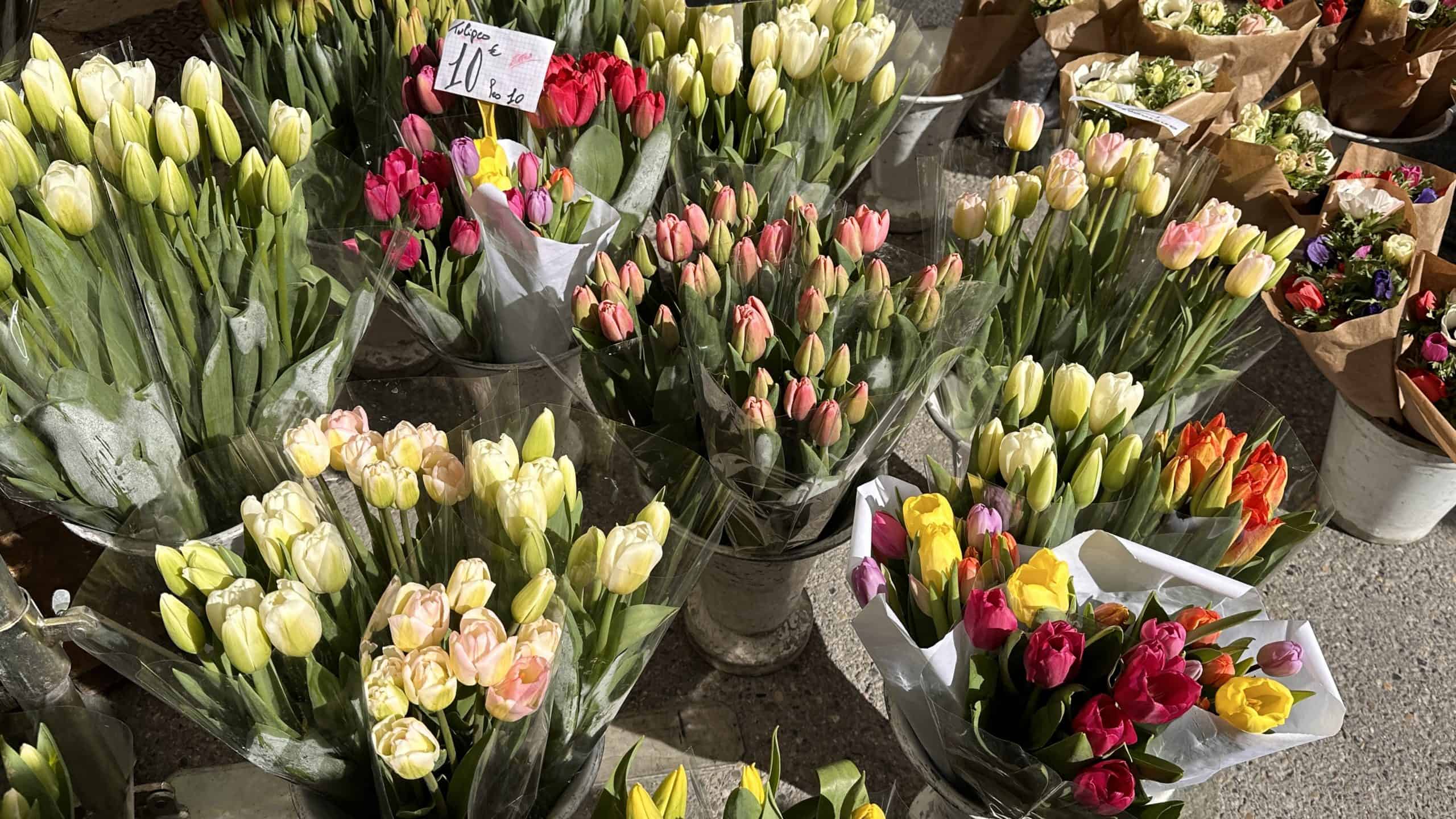Flowers