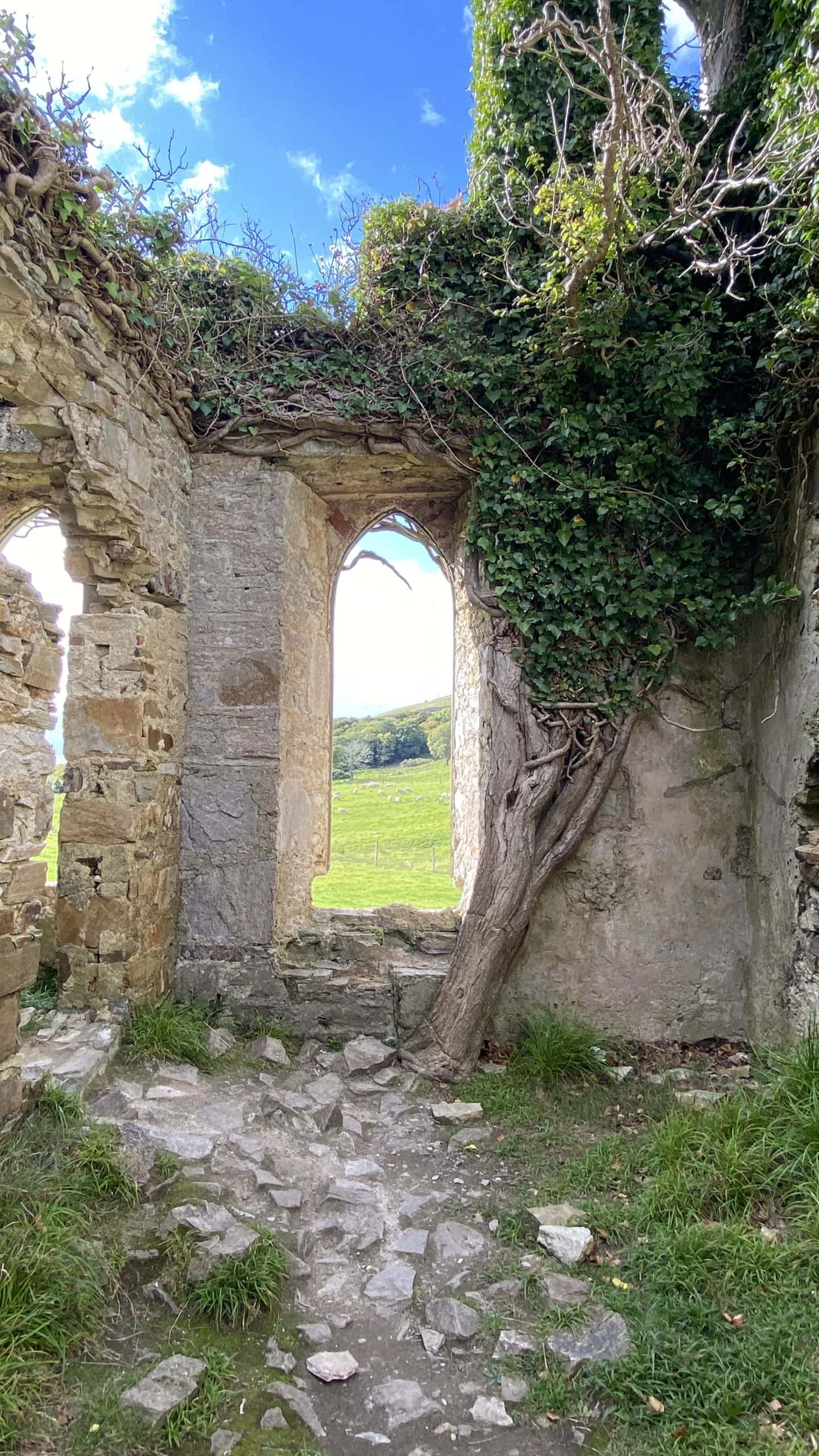 Interior of Clifden Castle