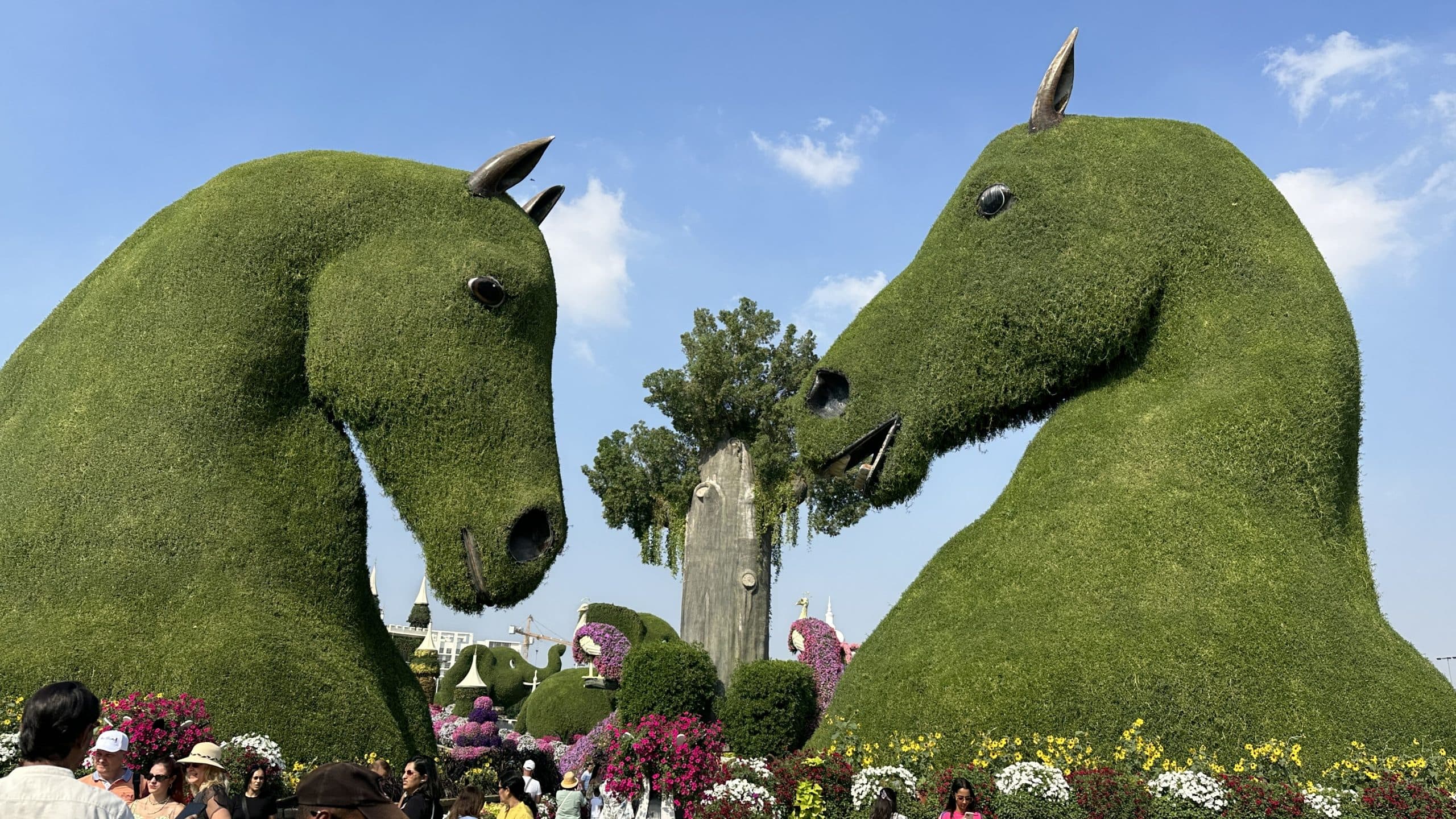 Huge topiary horses