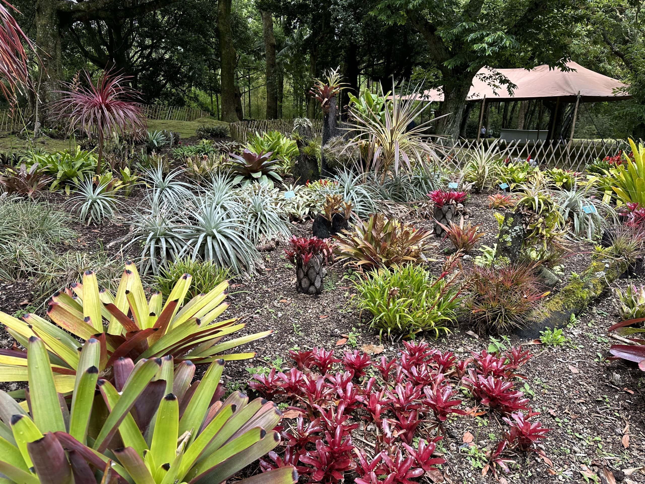 Flower beds