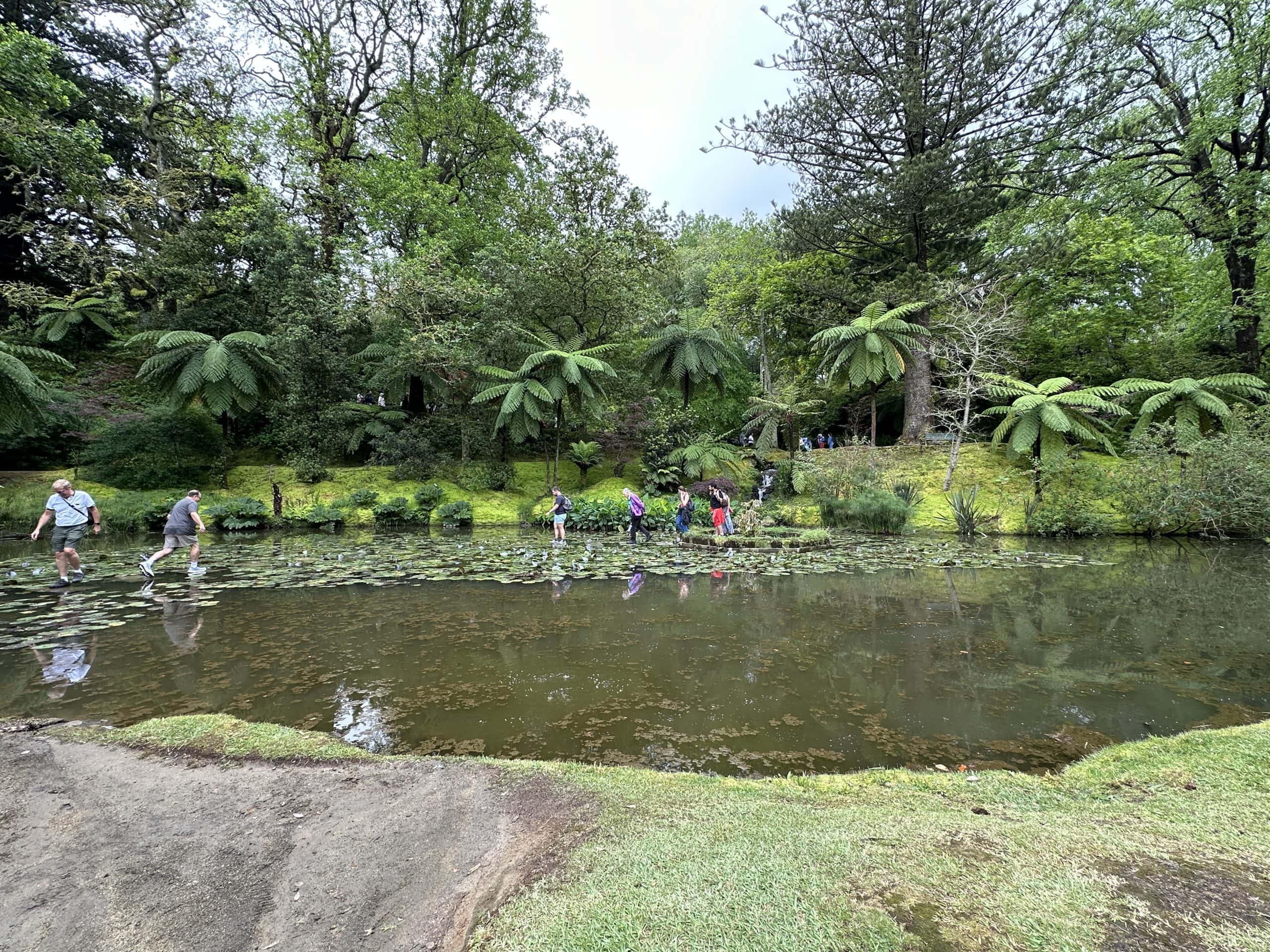 Pond area