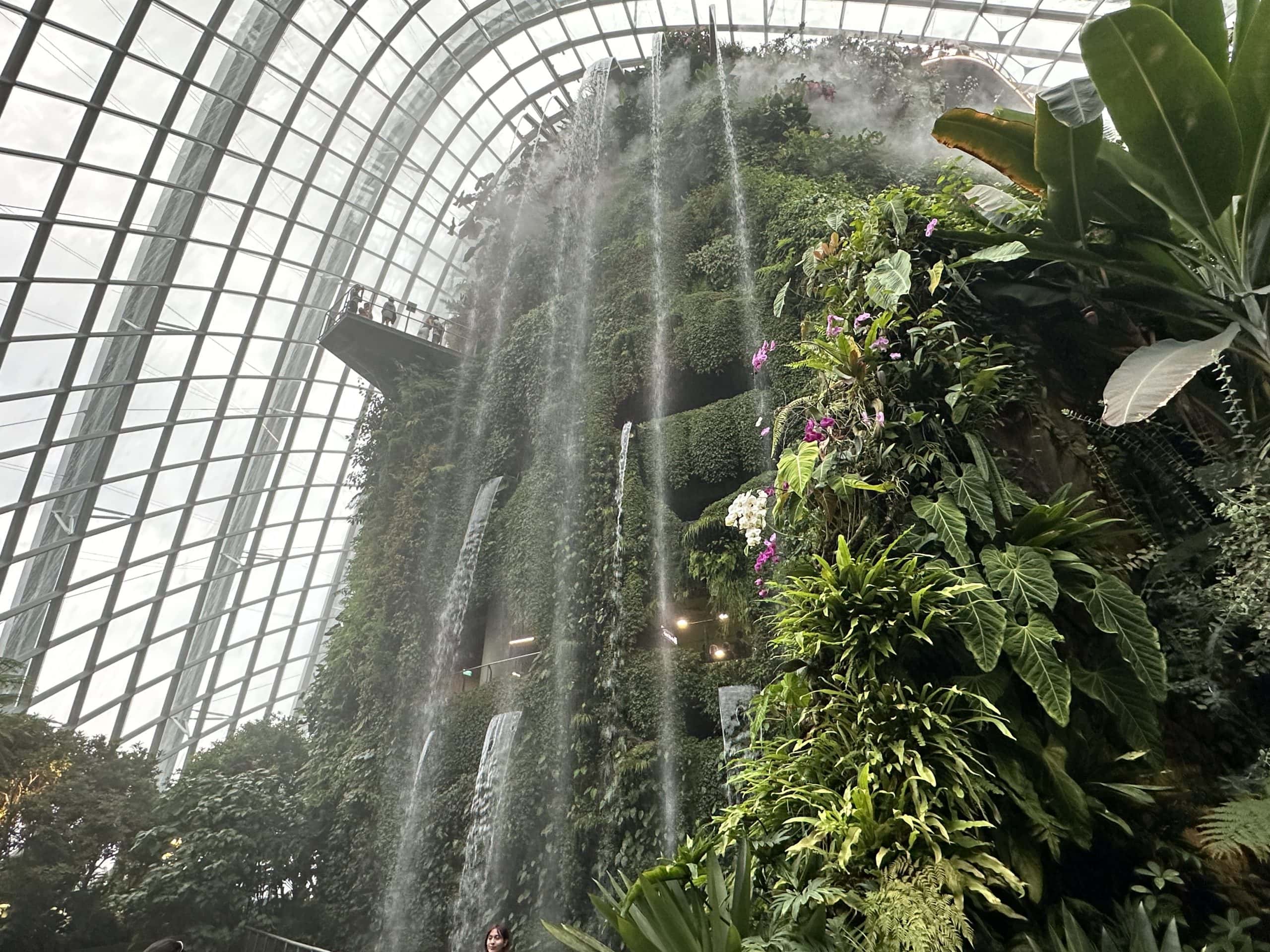 Cloud forest waterfall