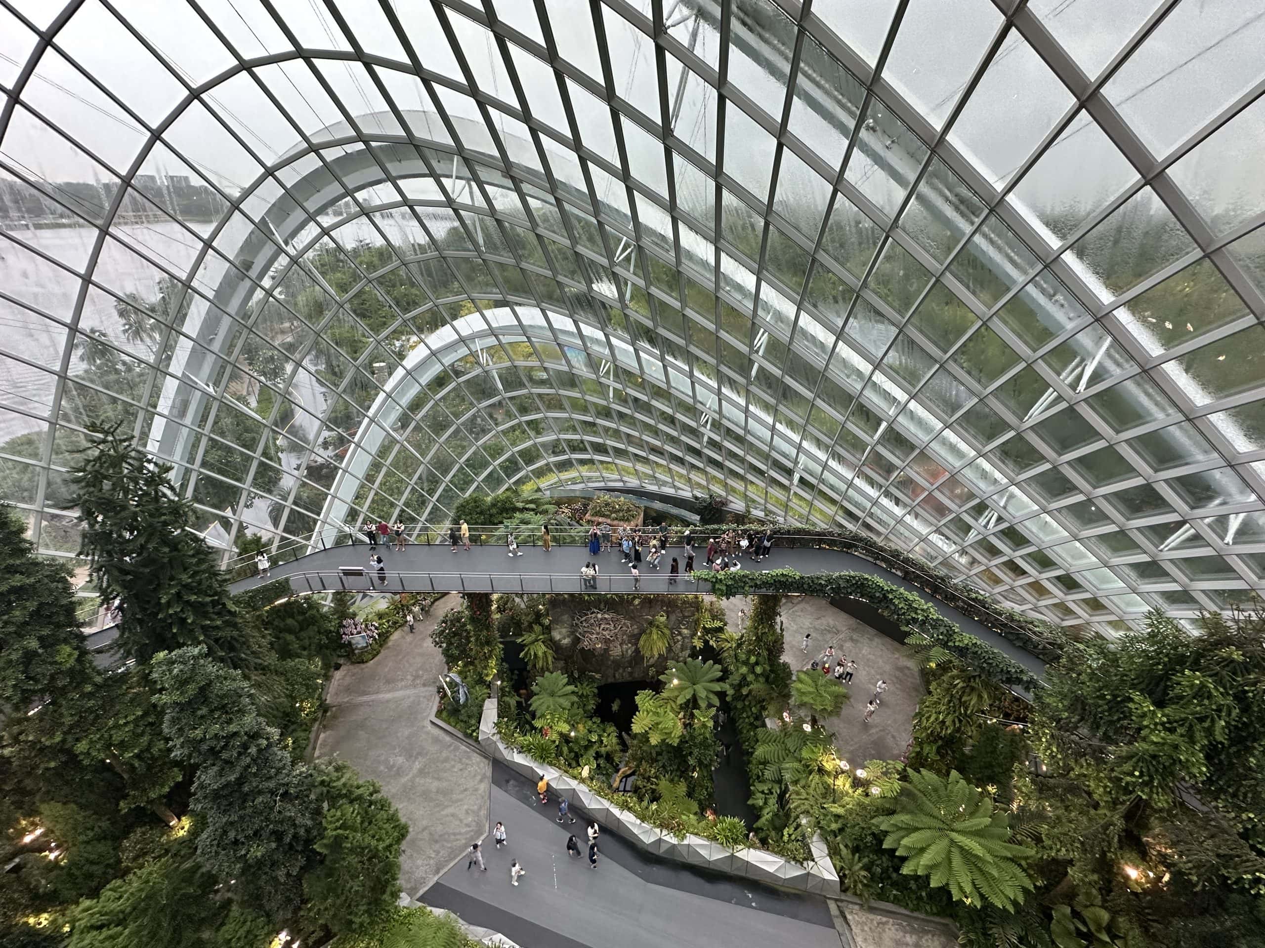 Cloud forest dome