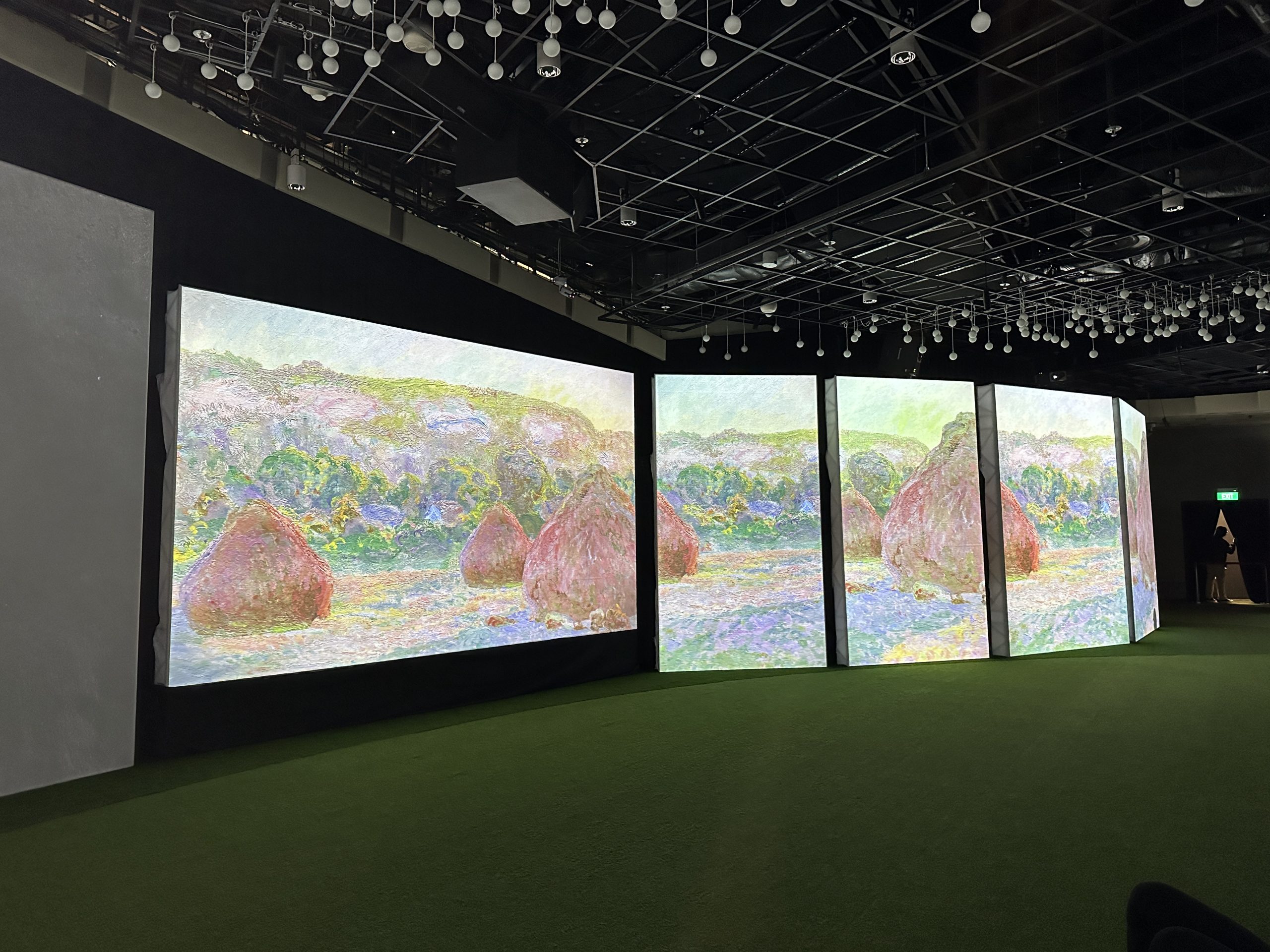 Monet projection show