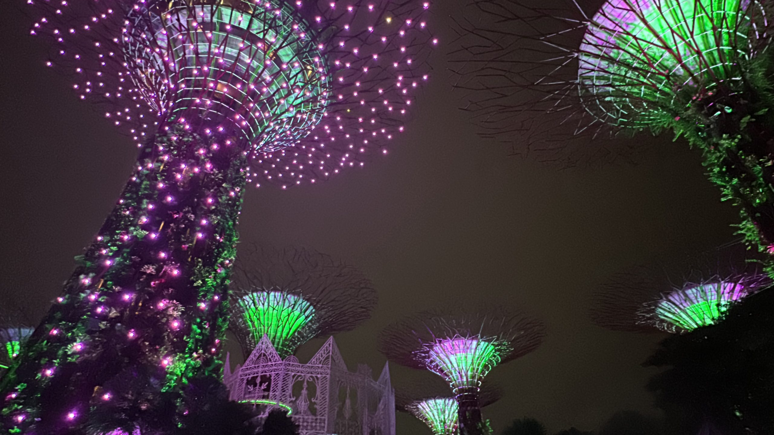 Super Trees at night