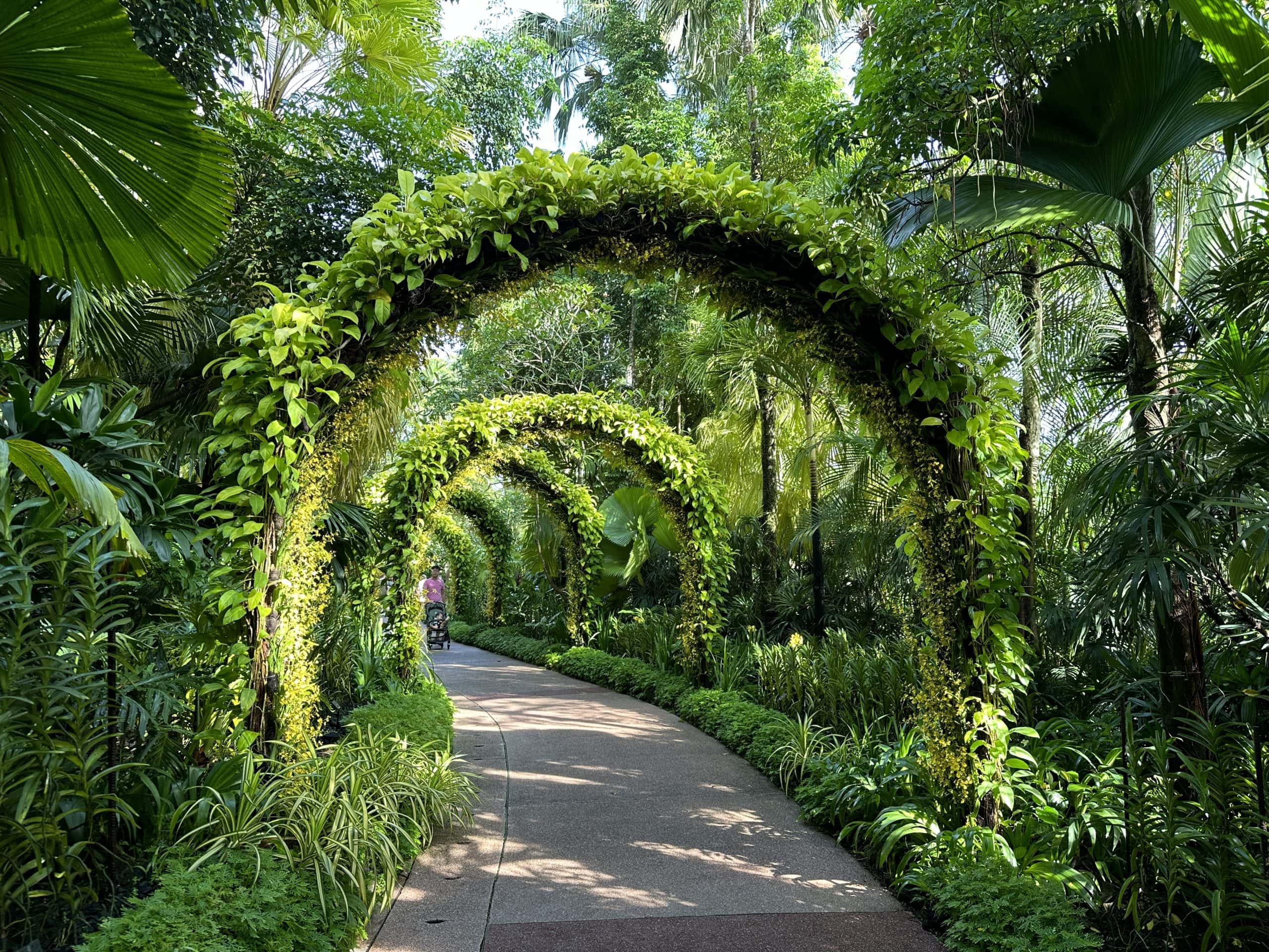 Lush greenery